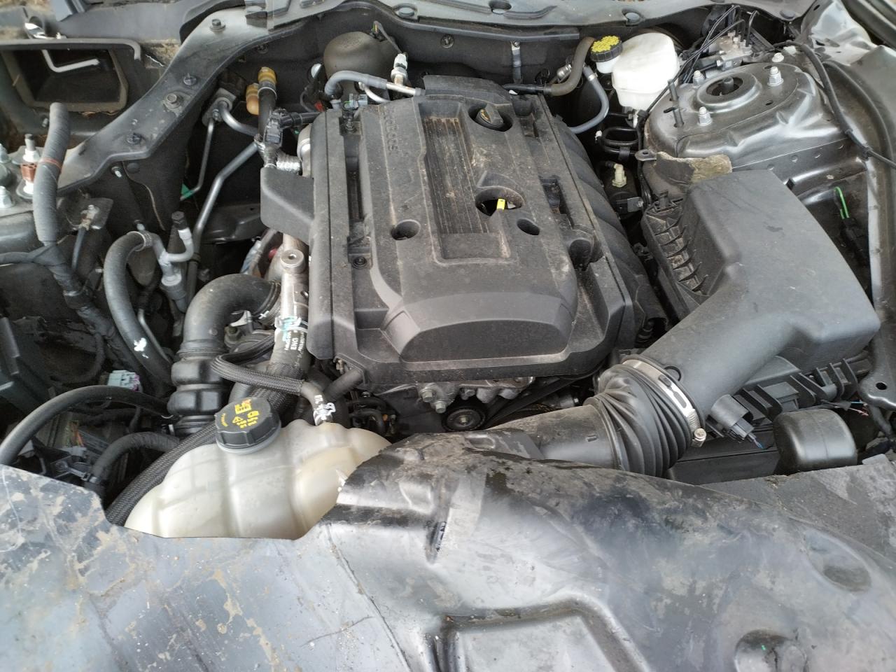 Photo 7 from auction – 2016 FORD MUSTANG with VIN 1FA6P8TH3G5212187