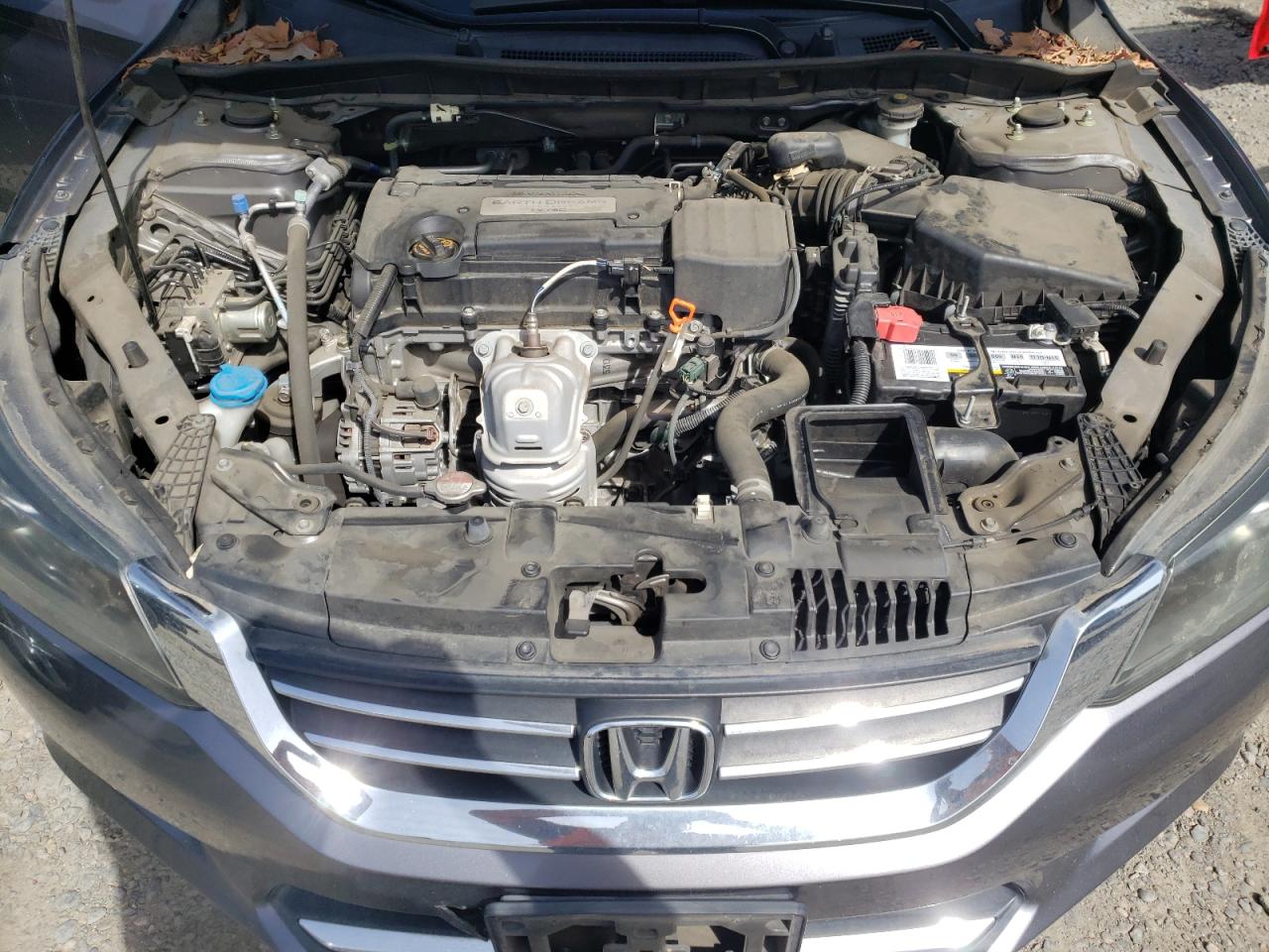 Photo 7 from auction – 2014 HONDA ACCORD LX with VIN 1HGCR2F34EA061564