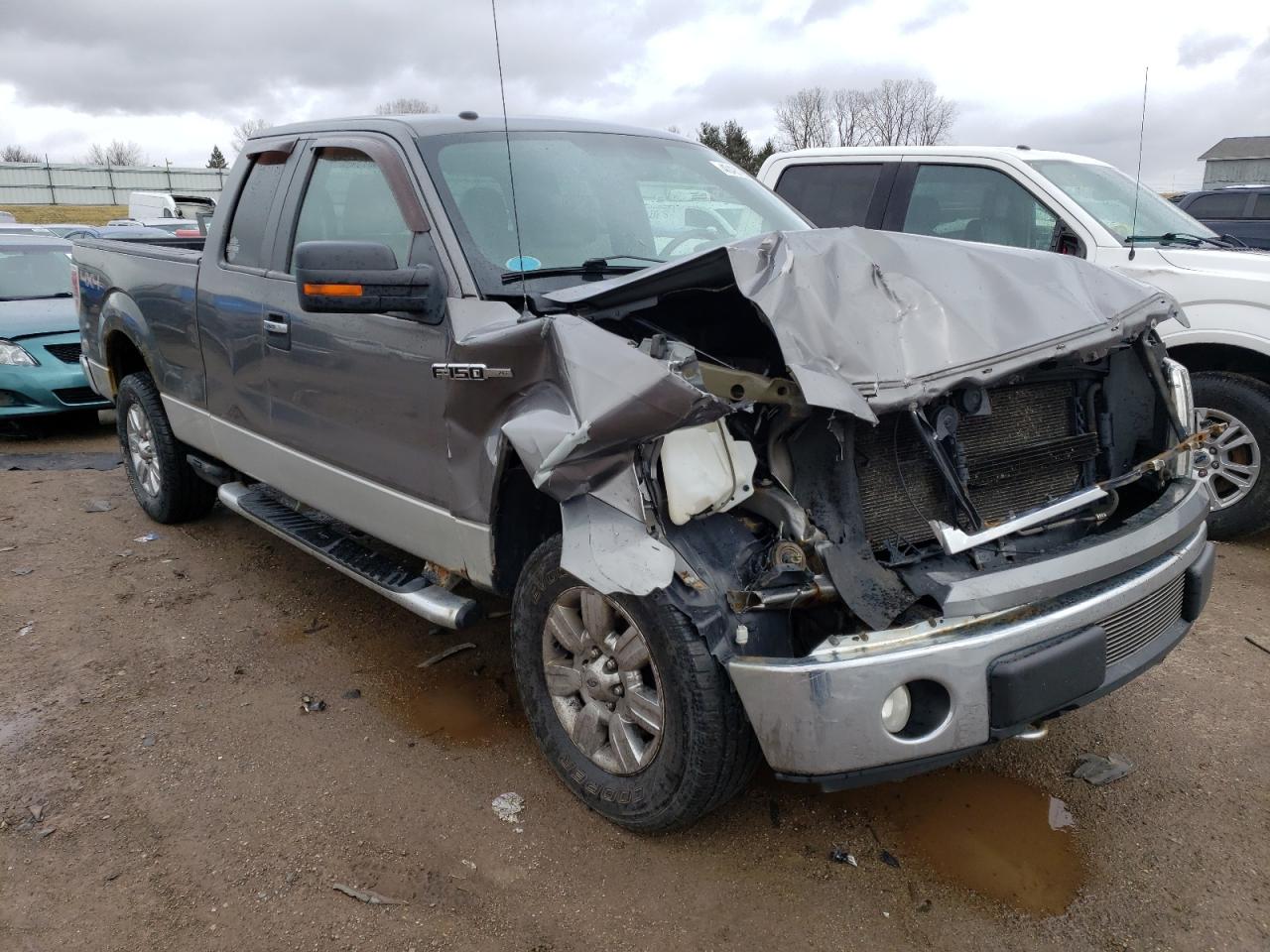 FORD F150 SUPER 2010 with VIN 1FTEX1E85AFA57444 - Photo from auction