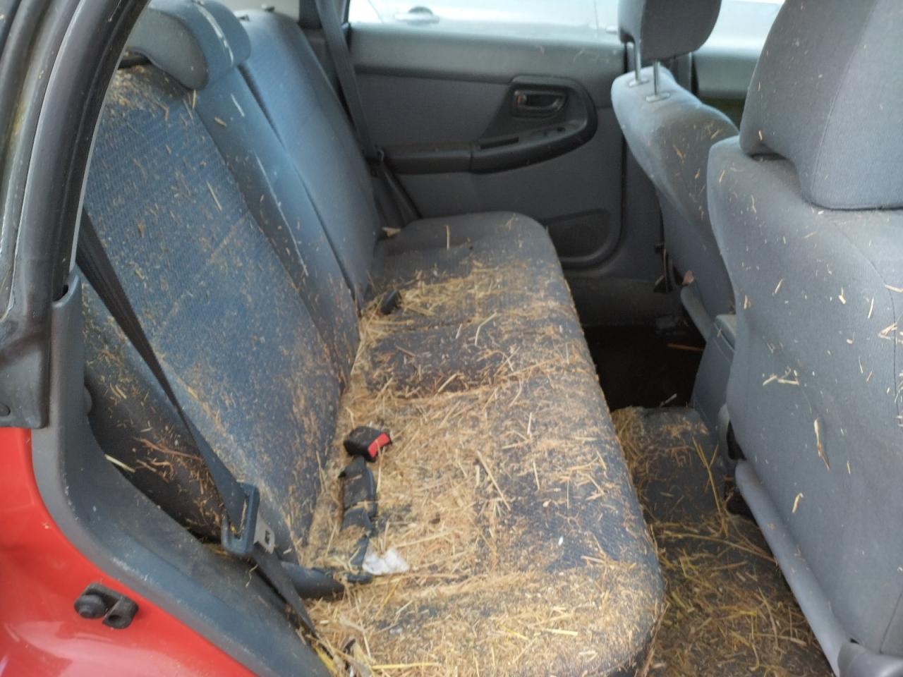 Photo 6 from auction – 2004 SUBARU IMPREZA TS with VIN JF1GG65594G801904