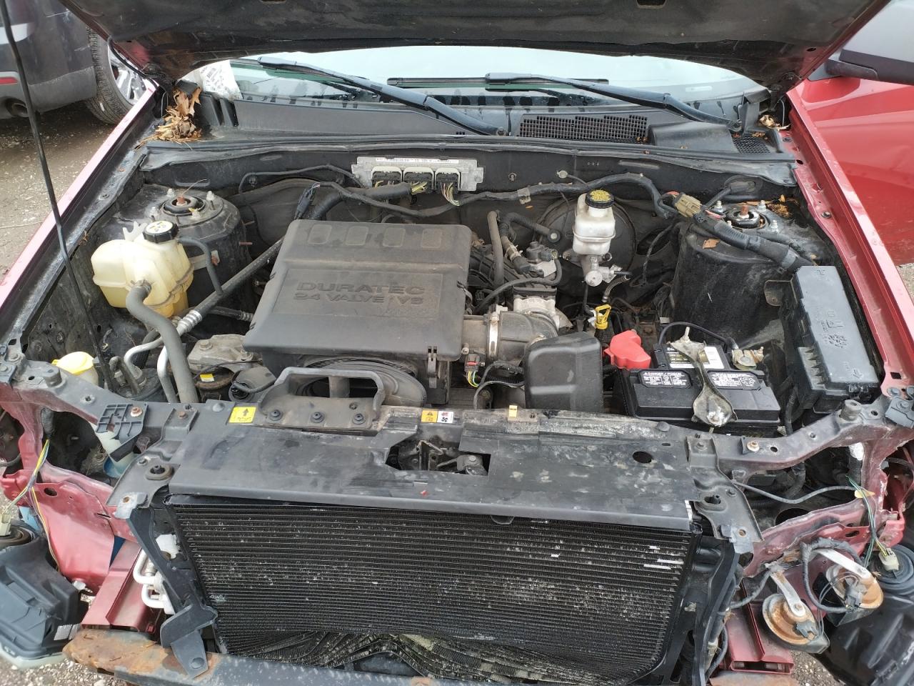 Photo 7 from auction – 2010 FORD ESCAPE XLT with VIN 1FMCU0DG0AKD26973