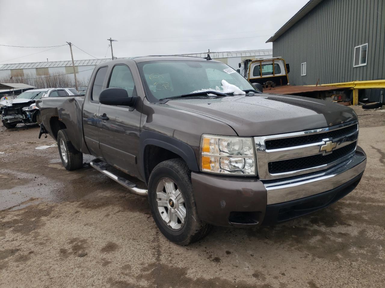 CHEVROLET SILVERADO 2008 with VIN 1GCEK19J08Z245387 - Photo from auction