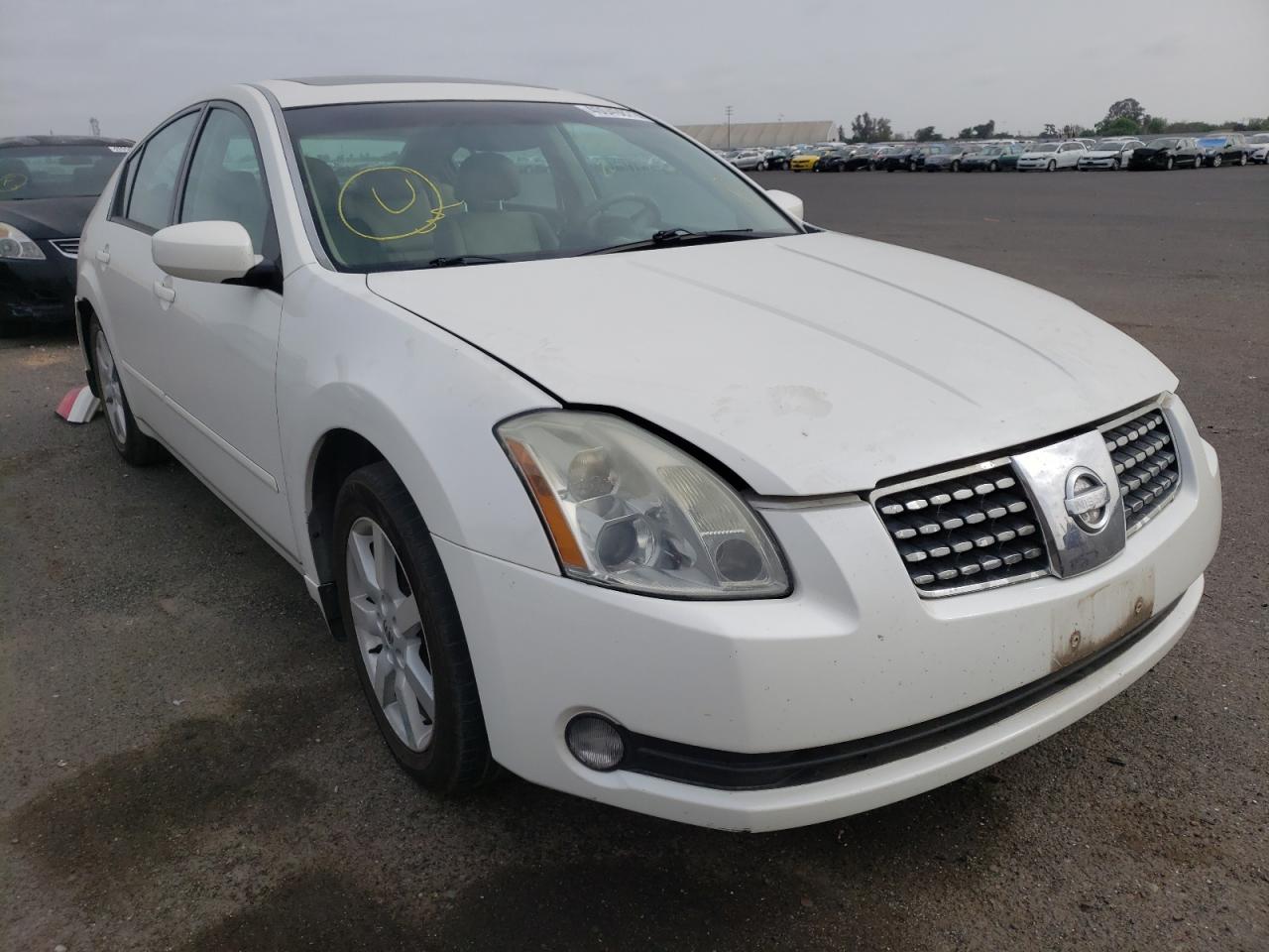 NISSAN MAXIMA SE 2005 with VIN 1N4BA41E75C829165 - Photo from auction