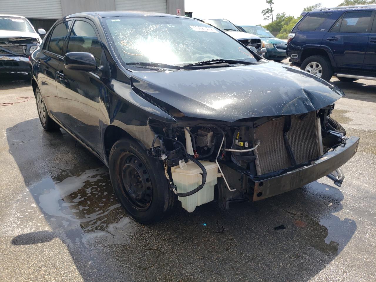 TOYOTA COROLLA BA 2010 with VIN 1NXBU4EE8AZ203507 - Photo from auction