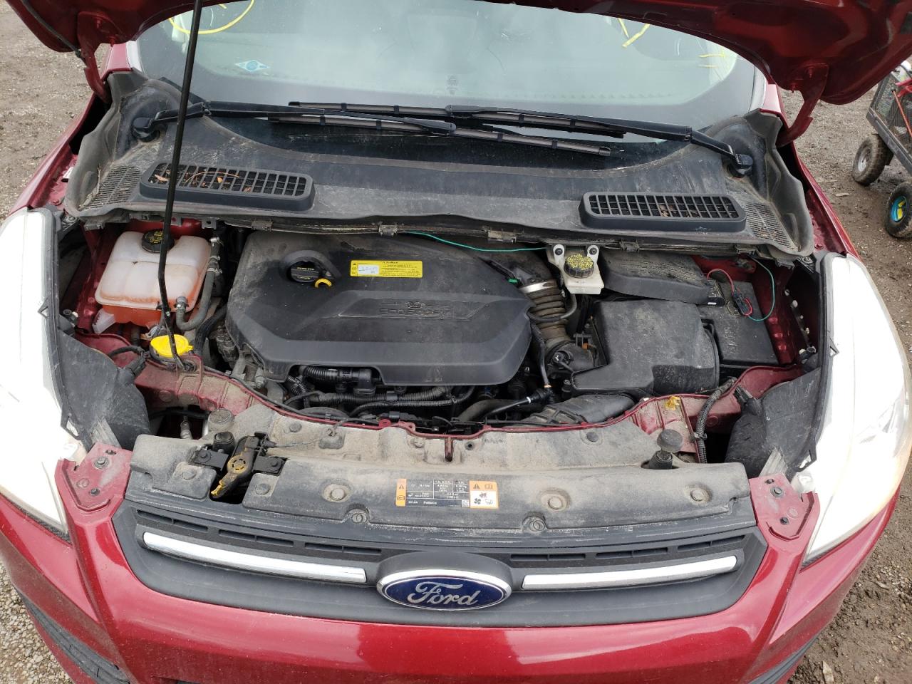 Photo 12 from auction – 2014 FORD ESCAPE SE with VIN 1FMCU0GX7EUC94996