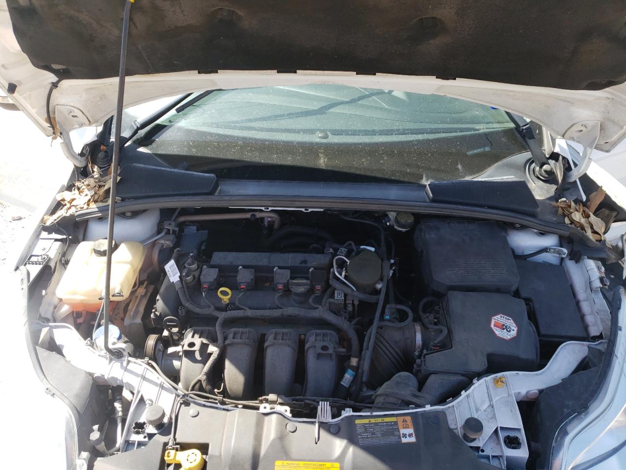 صورة رقم 7 من المزاد - 2013 FORD FOCUS SE مع VIN 1FADP3F28DL381212