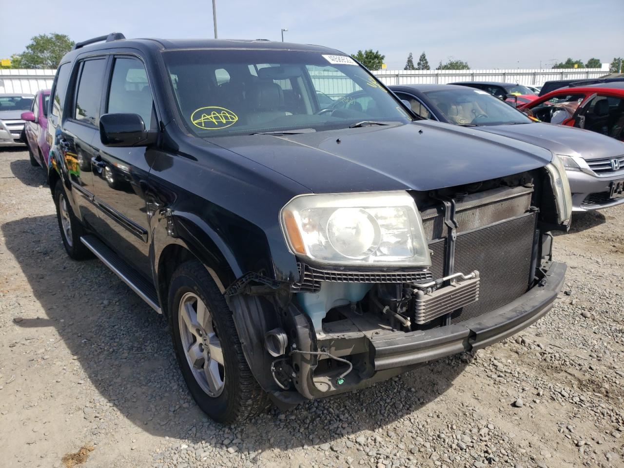 HONDA PILOT EXL 2011 with VIN 5FNYF4H52BB019923 - Photo from auction