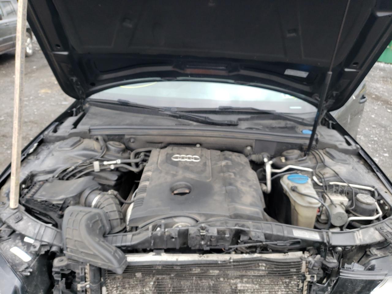 Photo 7 from auction – 2010 AUDI A4 PREMIUM with VIN WAUDFAFL3AN055115