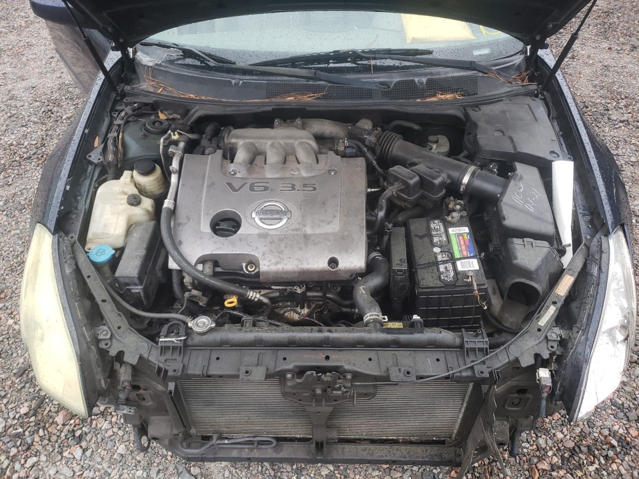 Photo 7 from auction – 2007 NISSAN MAXIMA SE with VIN 1N4BA41E37C816884