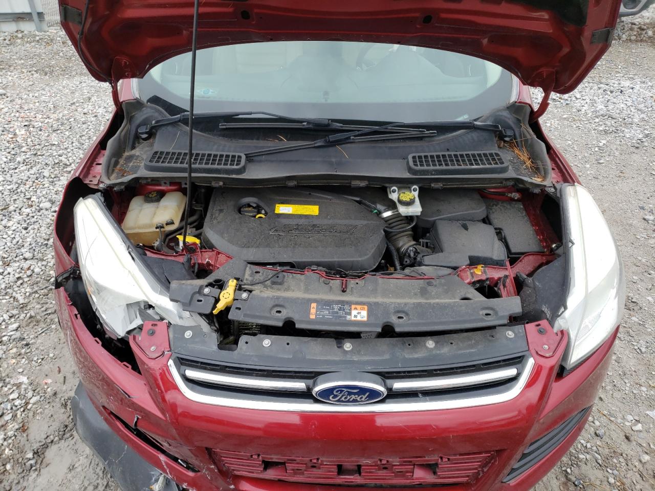 Photo 7 from auction – 2015 FORD ESCAPE TIT with VIN 1FMCU0JX5FUB56237