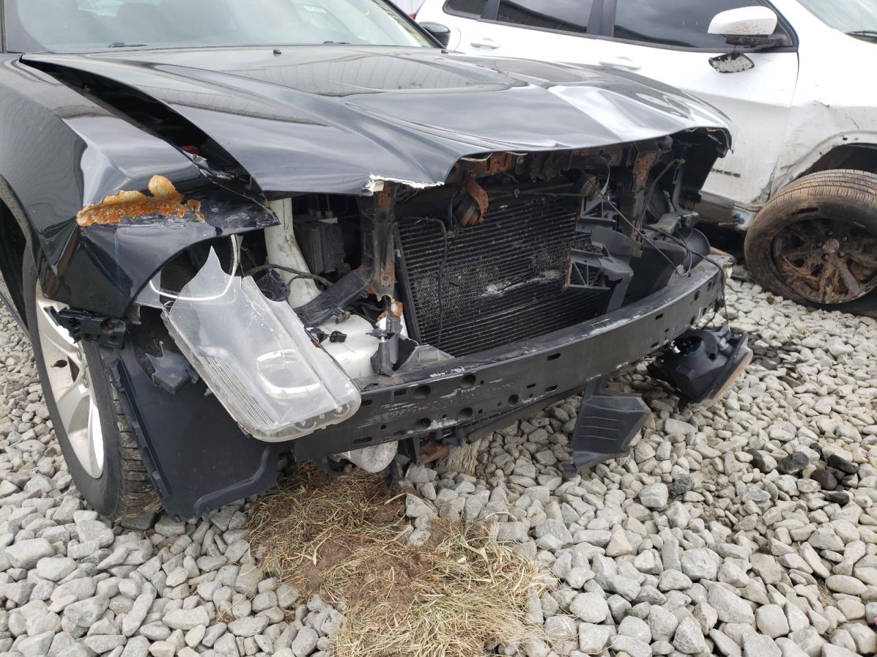 Photo 9 from auction – 2014 DODGE CHARGER with VIN 2C3CDXBG3EH129166