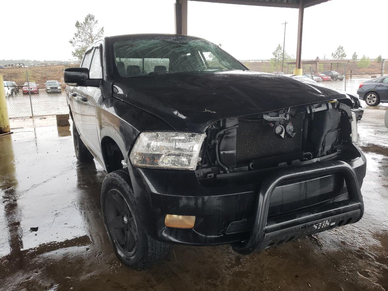 DODGE RAM 1500 2009 with VIN 1D3HV13T79J519092 - Photo from auction
