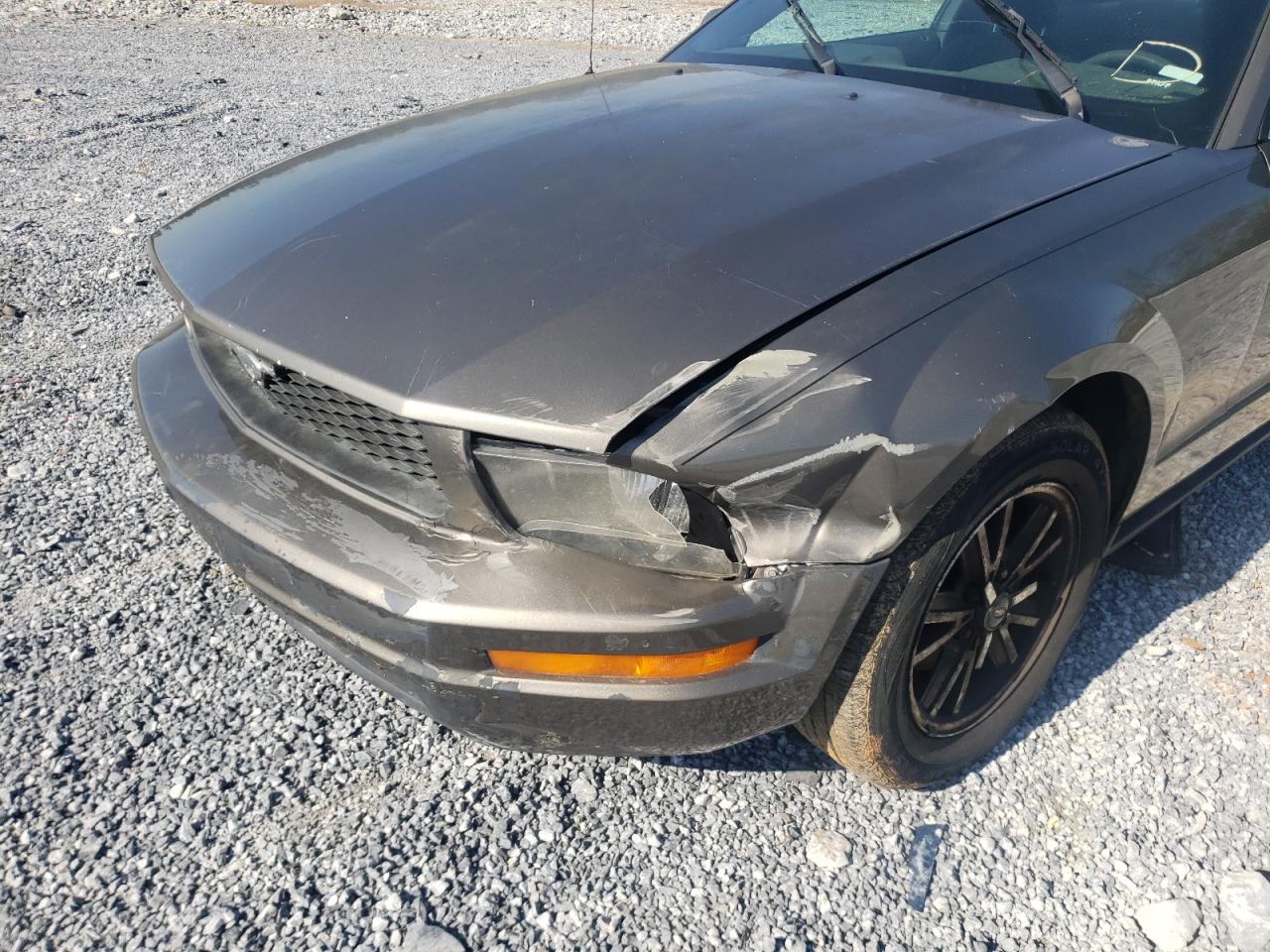 Photo 9 from auction – 2005 FORD MUSTANG with VIN 1ZVFT80N855144382
