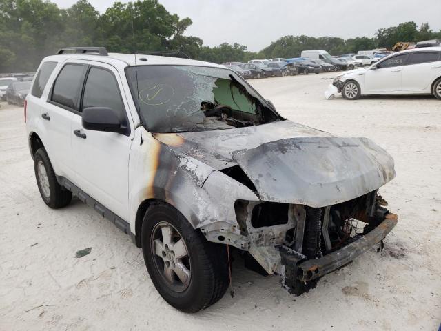 FORD ESCAPE XLT 2011 with VIN 1FMCU0D78BKB74667 - Photo from auction