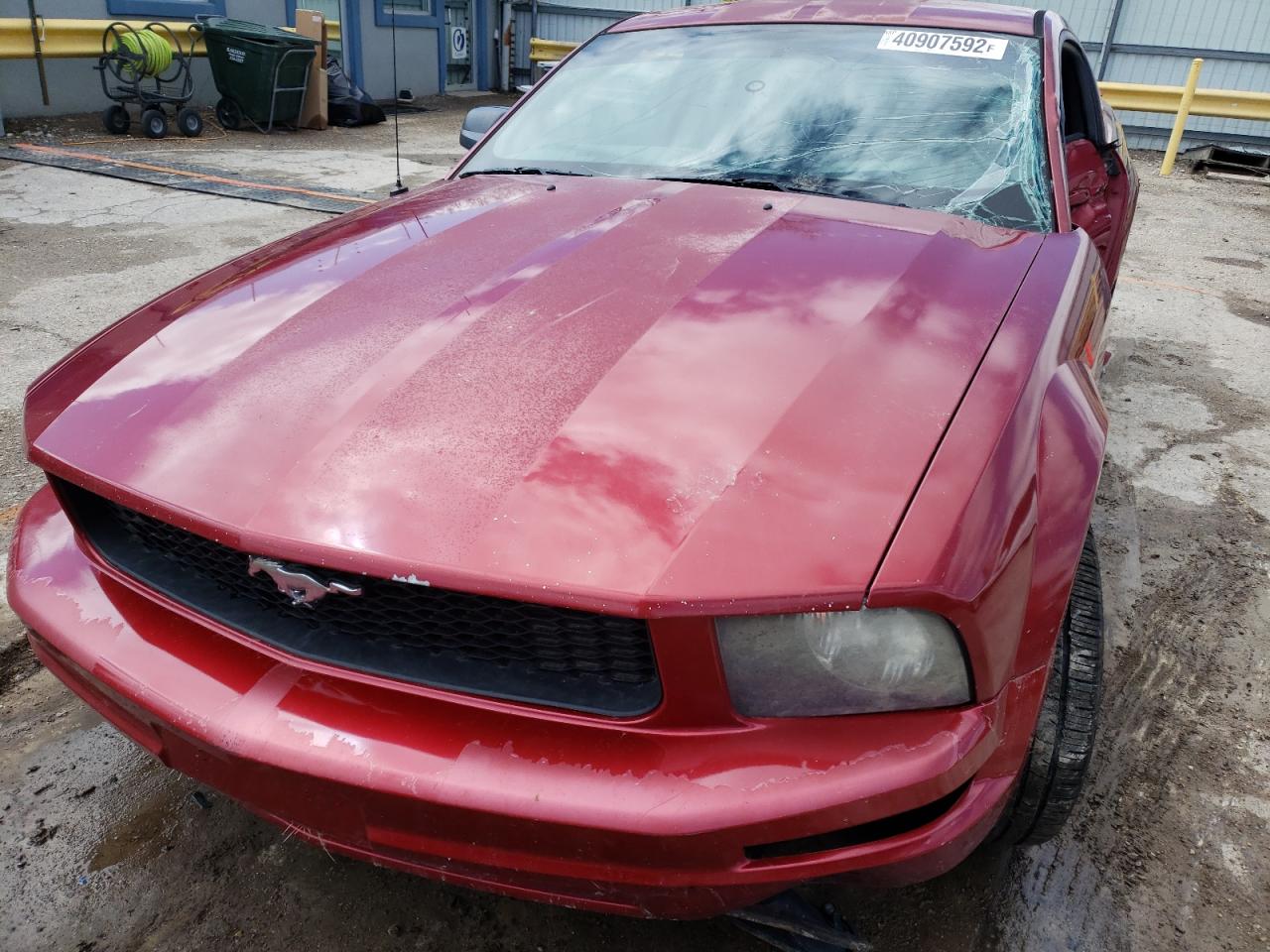 Photo 7 from auction – 2006 FORD MUSTANG with VIN 1ZVFT80N565139870
