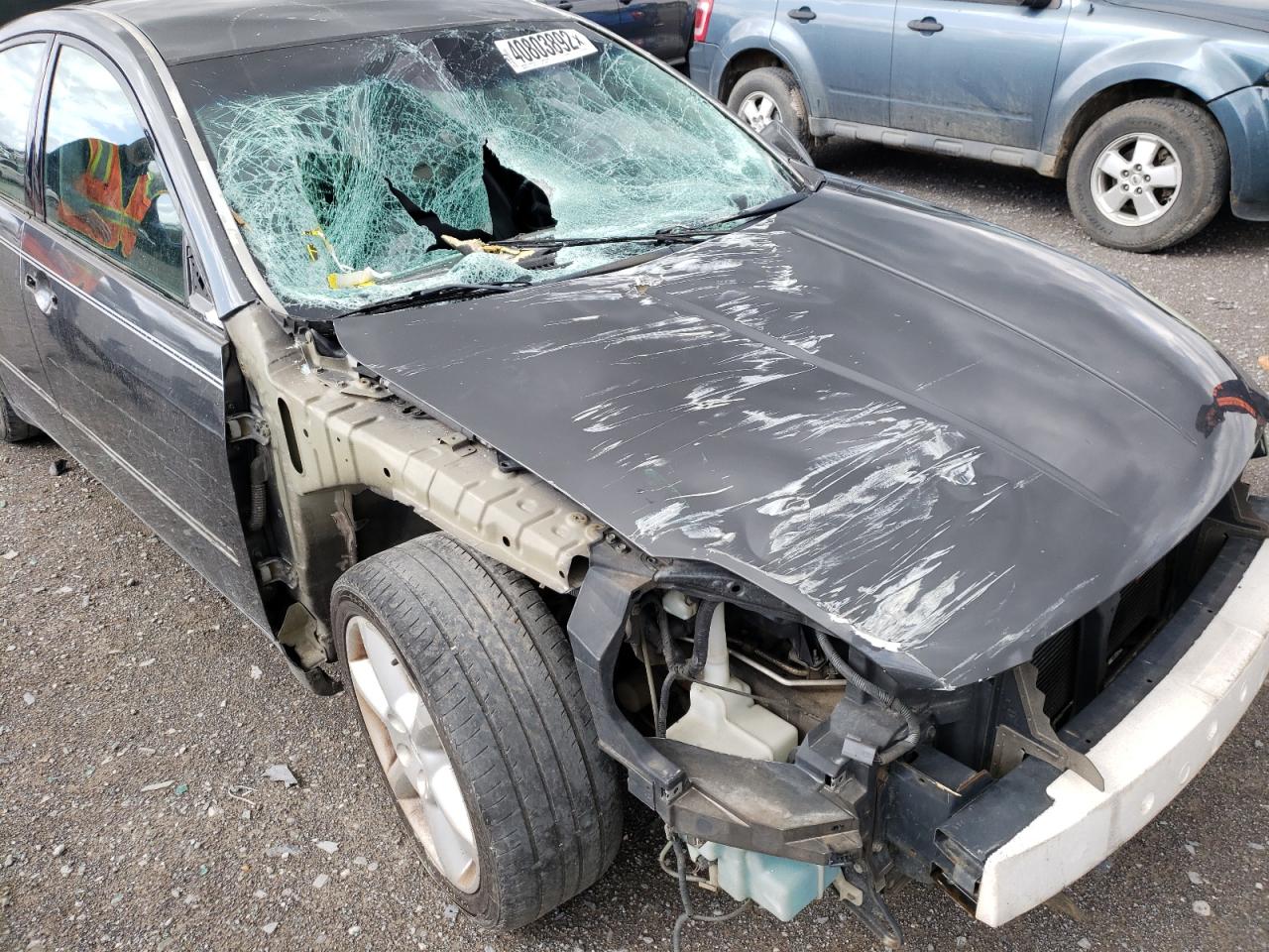 Photo 9 from auction – 2004 NISSAN MAXIMA SE with VIN 1N4BA41E44C914074