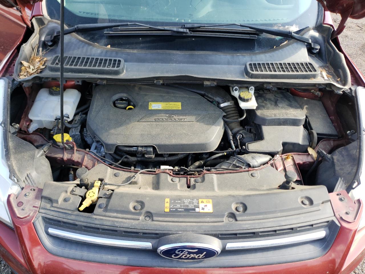 Photo 7 from auction – 2014 FORD ESCAPE SE with VIN 1FMCU0GX8EUD32686