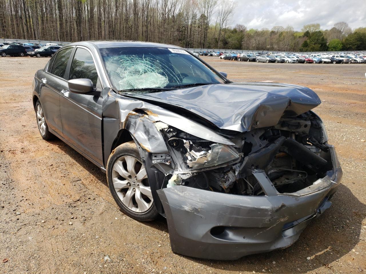 HONDA ACCORD EXL 2010 with VIN 1HGCP3F86AA016496 - Photo from auction