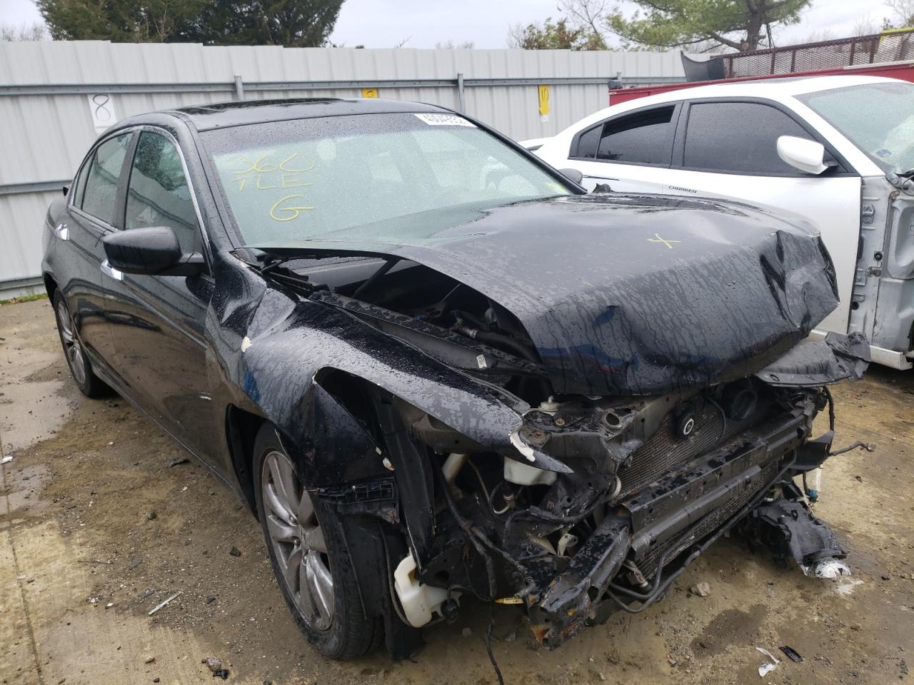 Photo 1 from auction – 2011 HONDA ACCORD EXL with VIN 1HGCP3F84BA019463