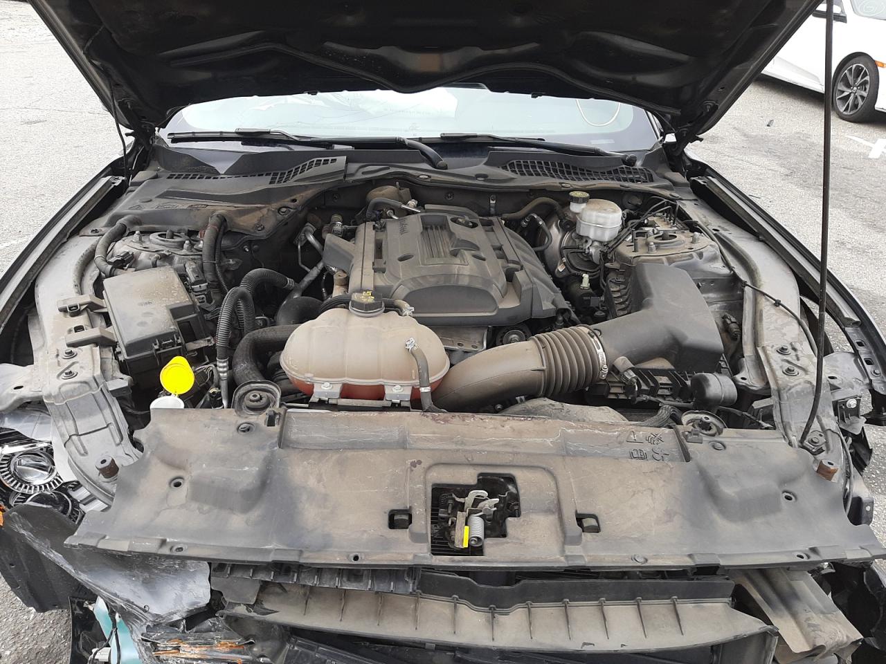 Photo 7 from auction – 2019 FORD MUSTANG with VIN 1FA6P8TH9K5169483