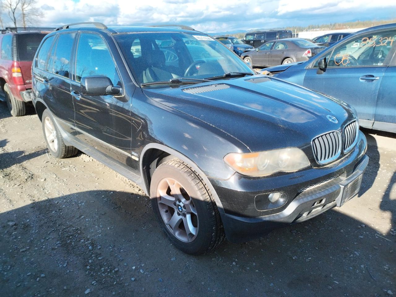 BMW X5 3.0I 2004 with VIN 5UXFA13544LU21548 - Photo from auction