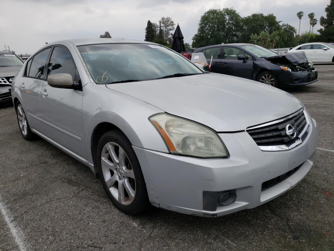 NISSAN MAXIMA SE 2008 with VIN 1N4BA41E38C807569 - Photo from auction
