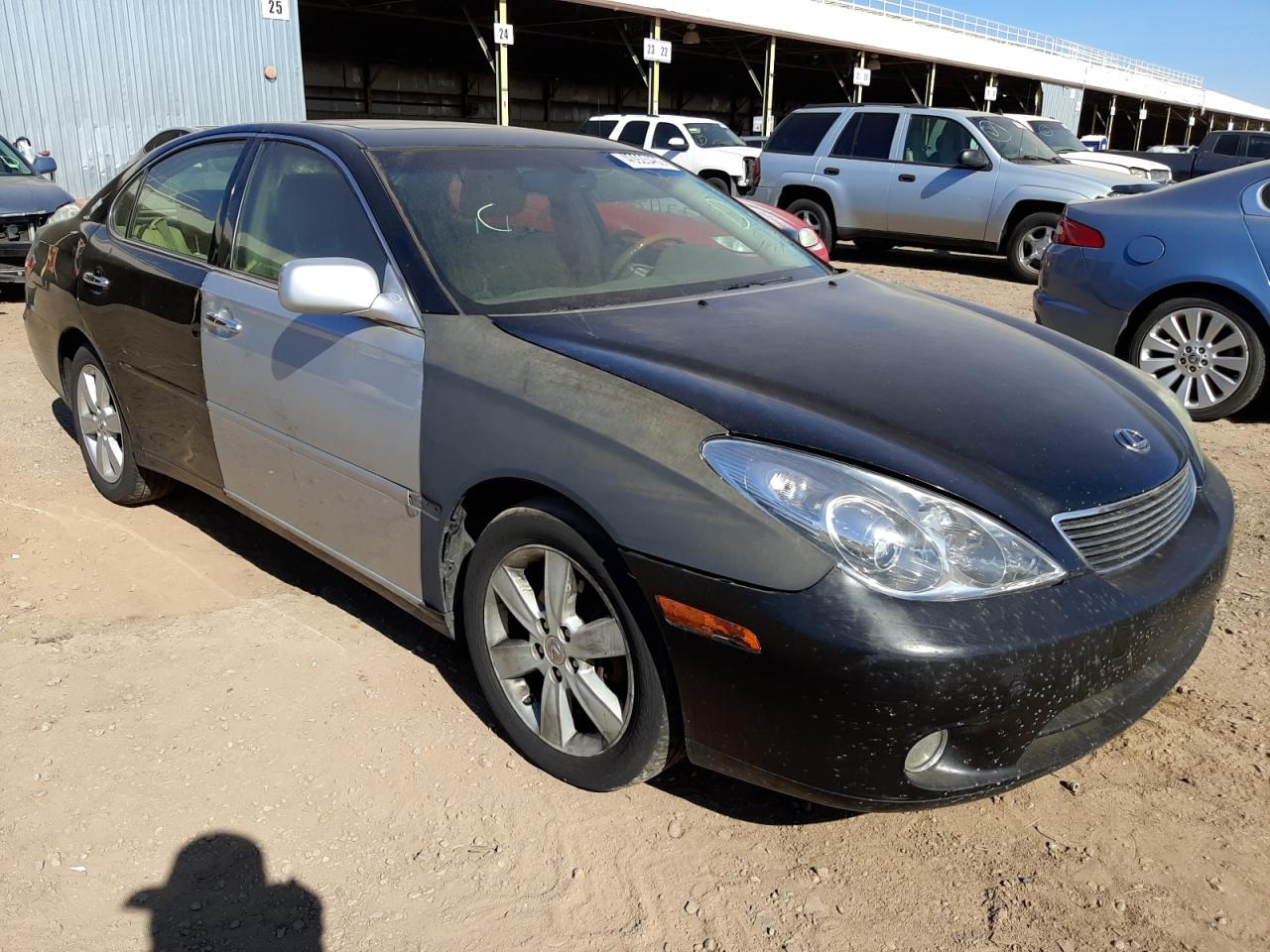 LEXUS ES 330 2005 with VIN JTHBA30G050023692 - Photo from auction