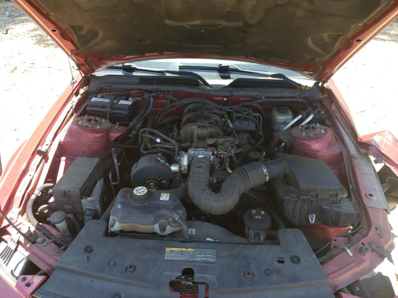 Photo 7 from auction – 2005 FORD MUSTANG with VIN 1ZVFT80N155139976