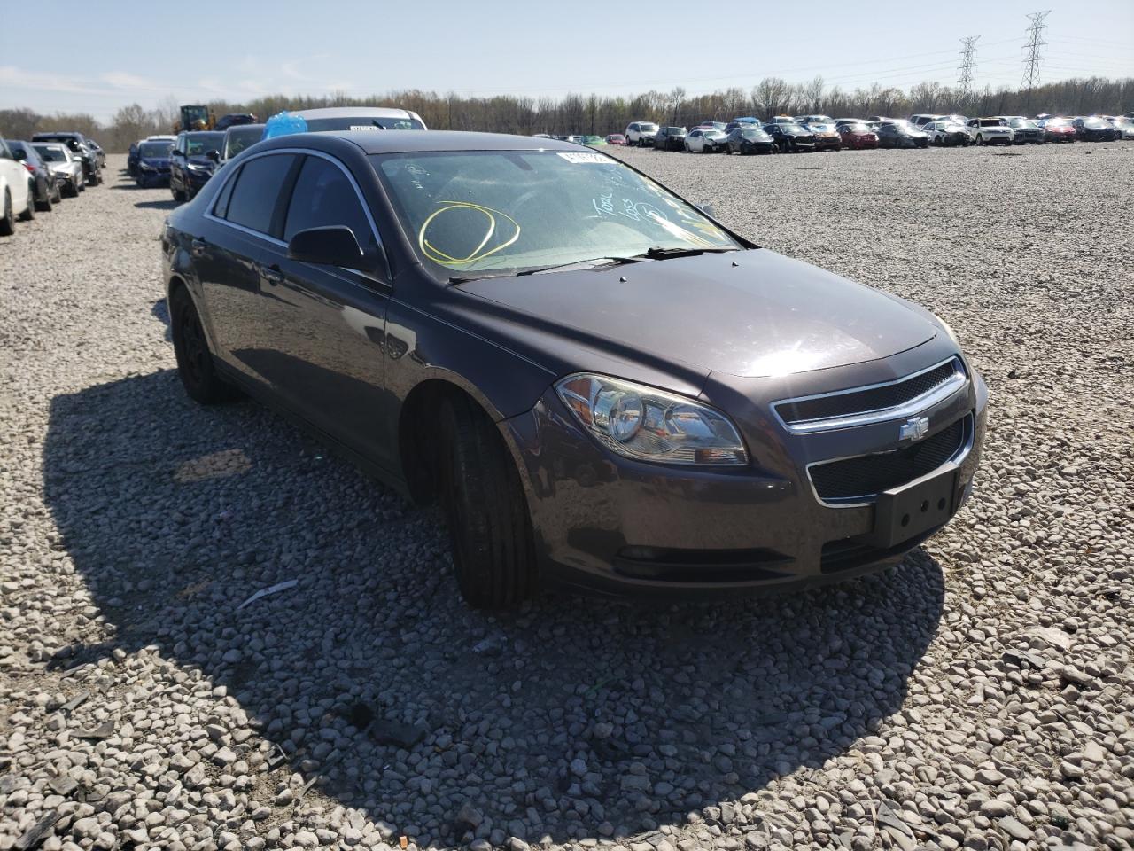 CHEVROLET MALIBU LS 2011 with VIN 1G1ZA5EU4BF165488 - Photo from auction