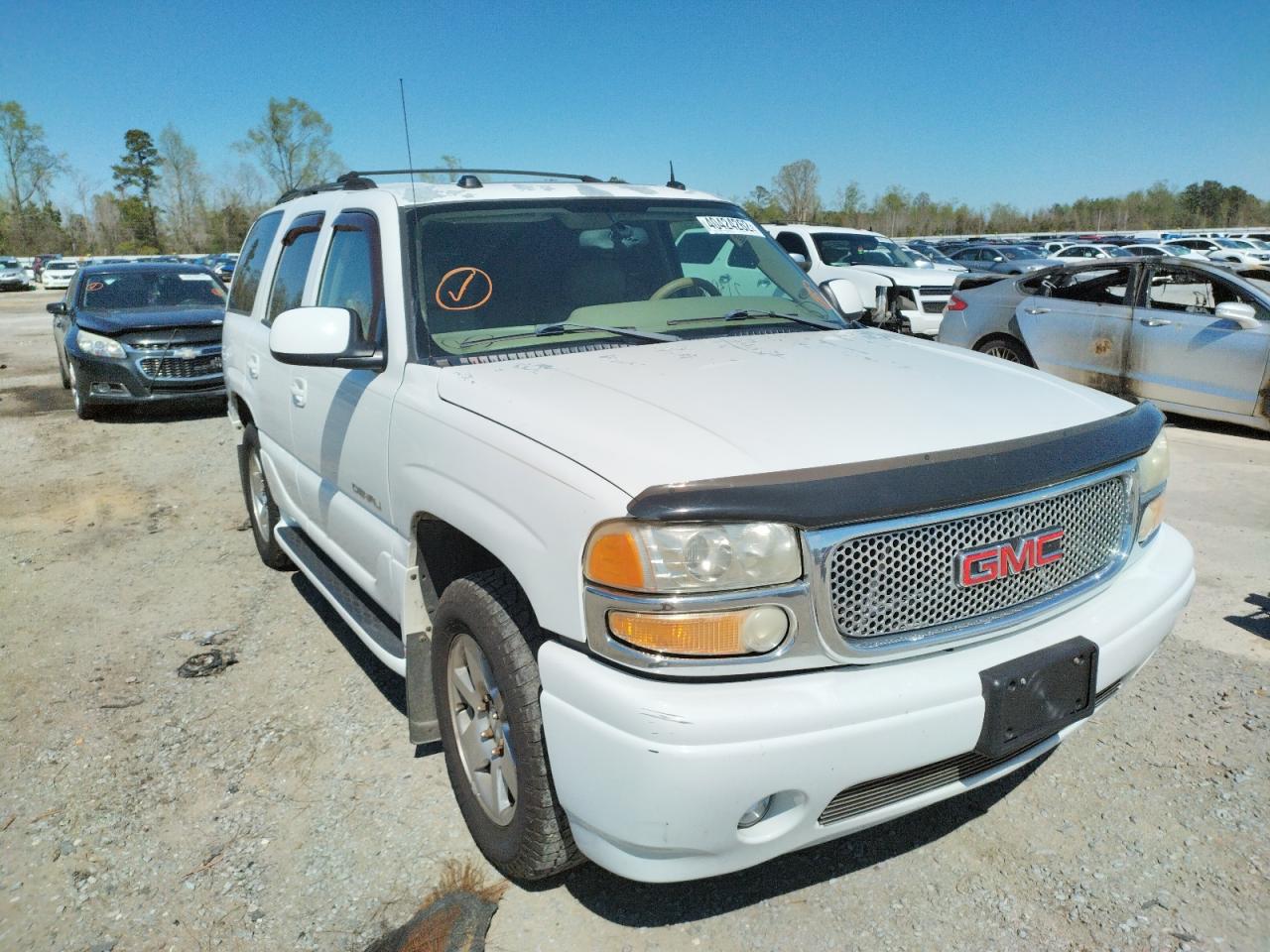 GMC YUKON DENA 2004 with VIN 1GKEK63U14J189263 - Photo from auction