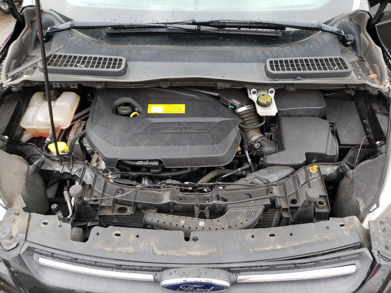 Photo 7 from auction – 2016 FORD ESCAPE SE with VIN 1FMCU0GXXGUC40594