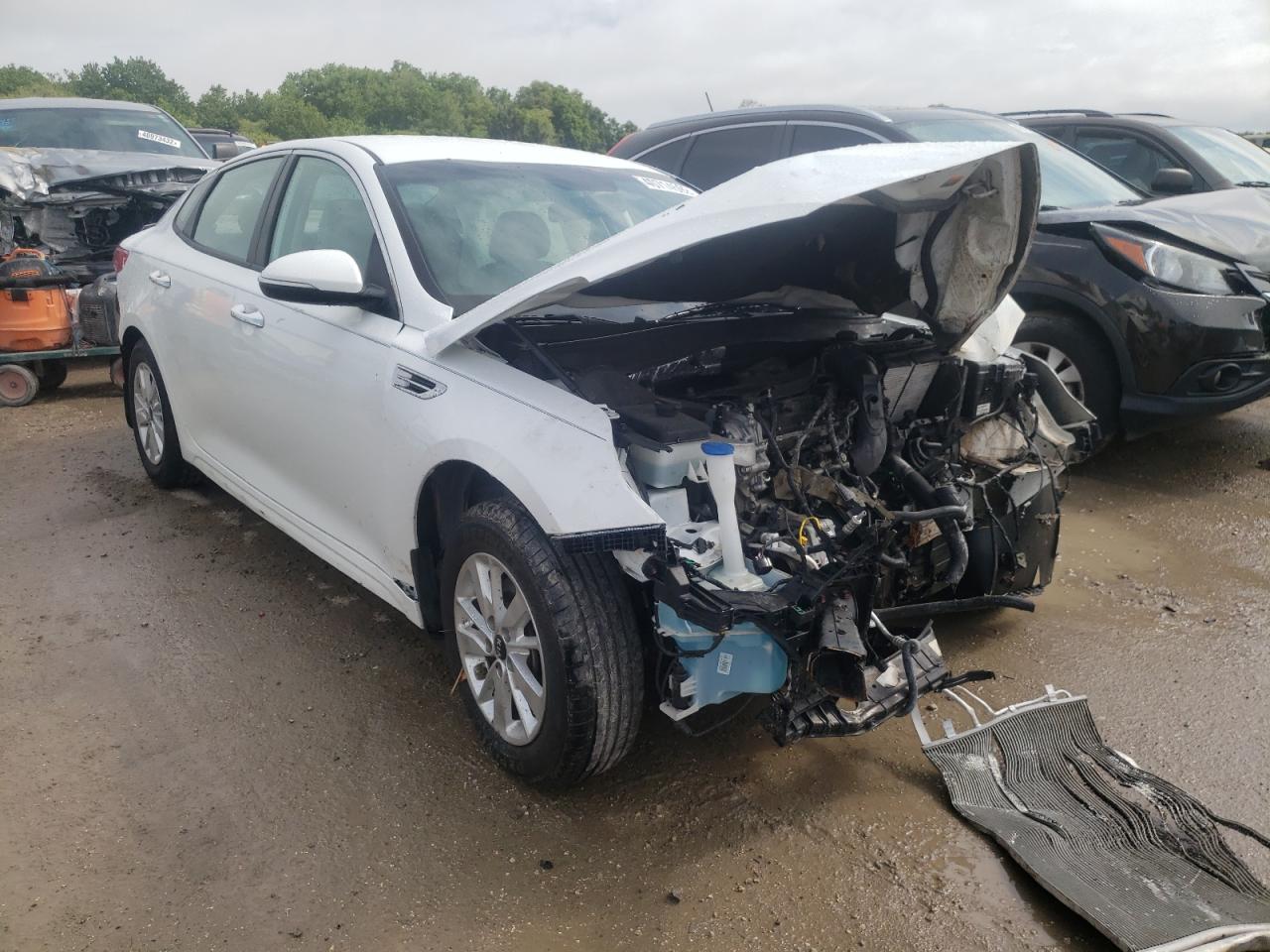 KIA OPTIMA LX 2016 with VIN 5XXGT4L31GG052555 - Photo from auction