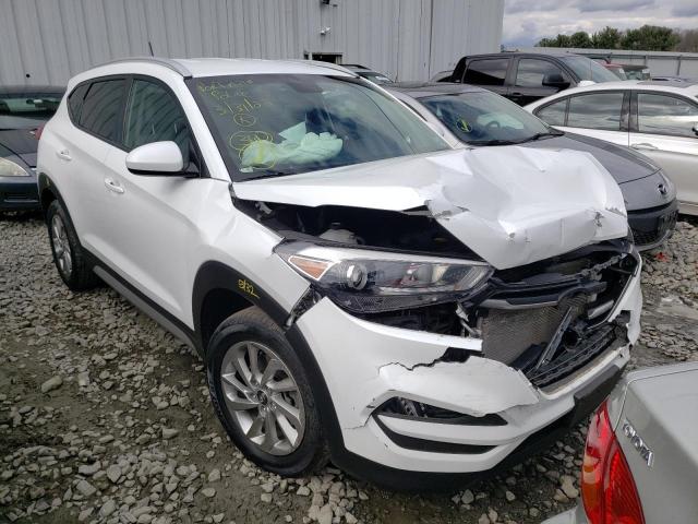 HYUNDAI TUCSON LIM 2017 with VIN KM8J3CA44HU483717 - Photo from auction