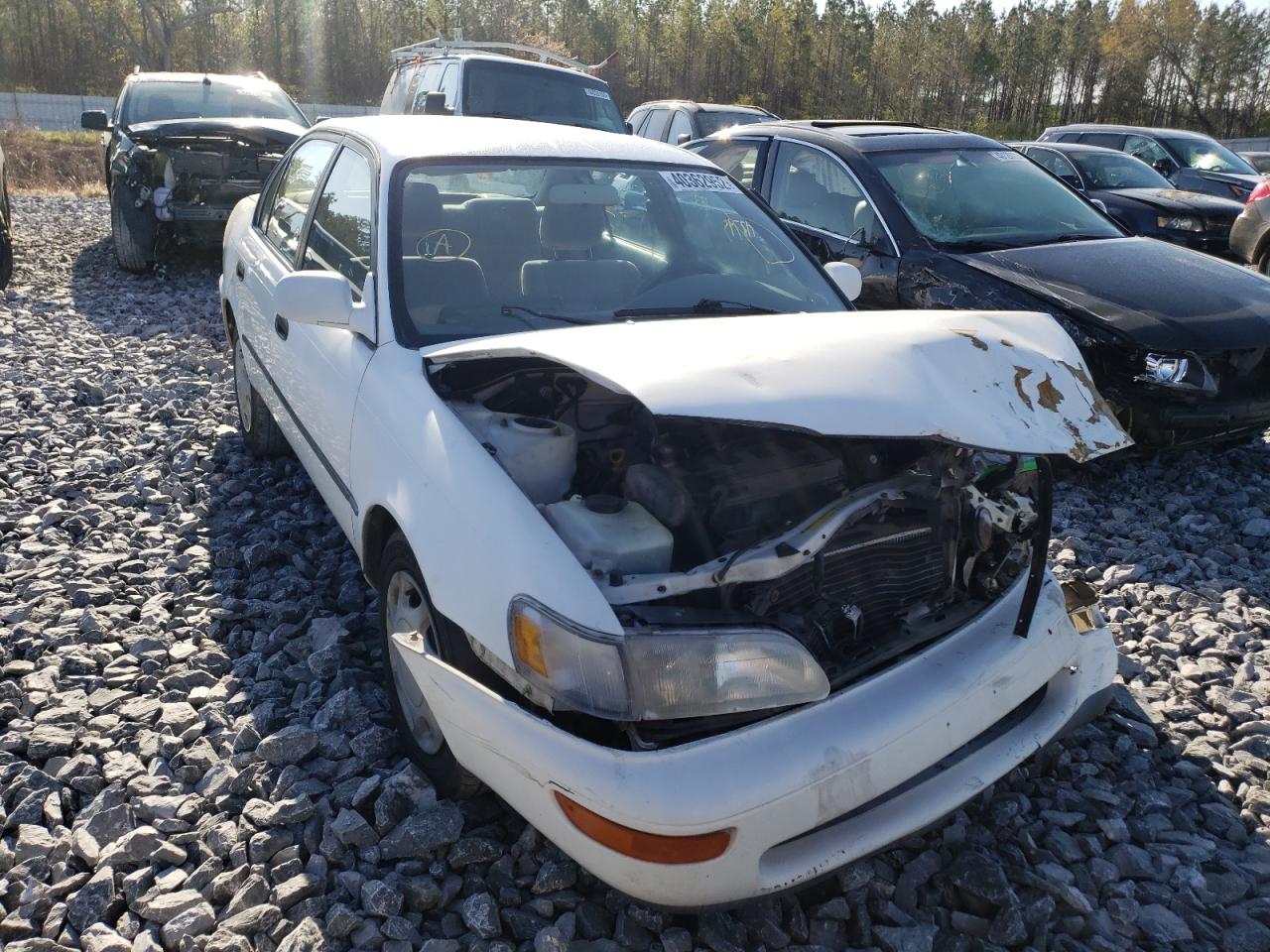 TOYOTA COROLLA DX 1996 with VIN 2T1BB02E1TC161334 - Photo from auction