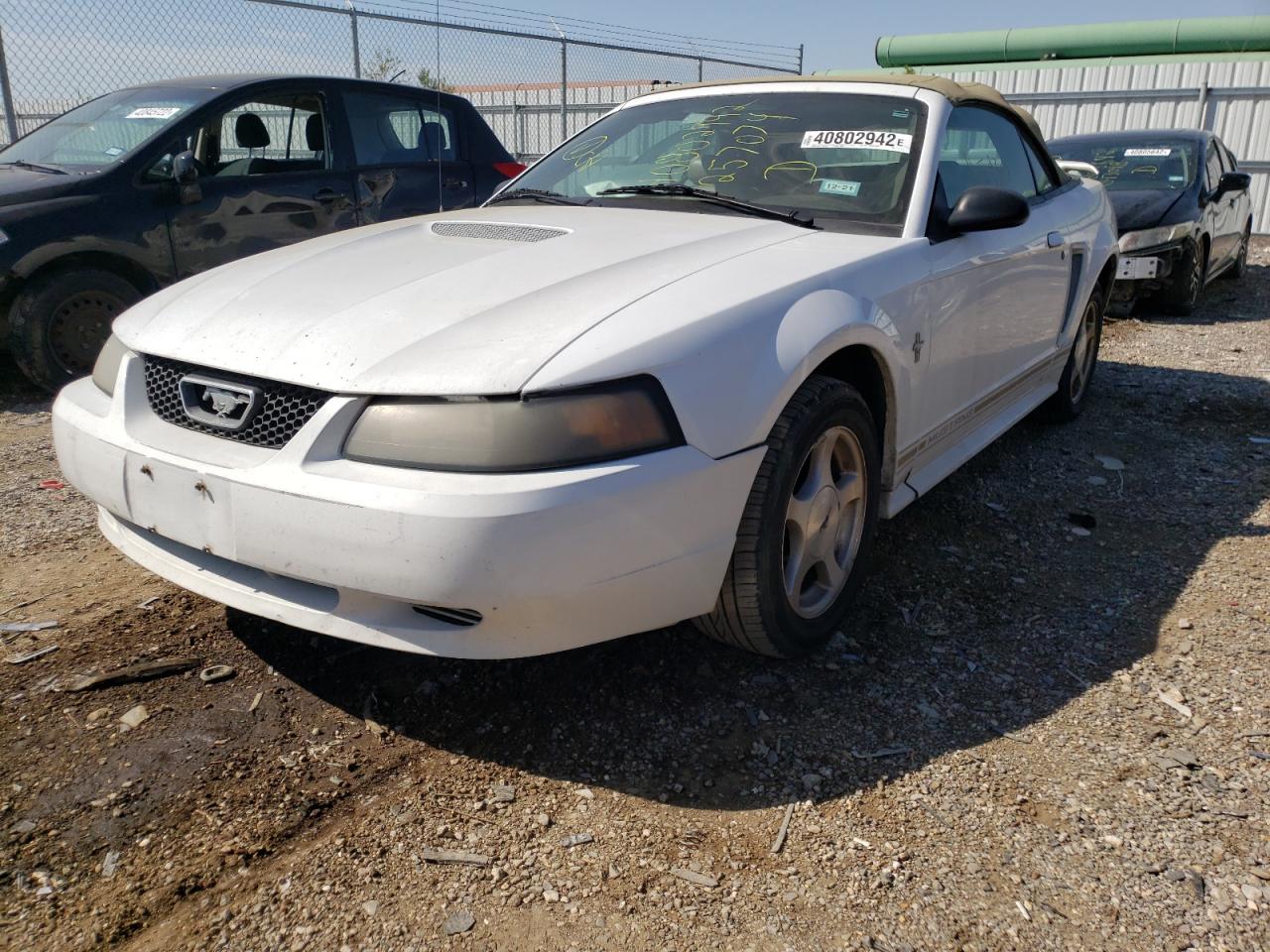 Photo 2 from auction – 2001 FORD MUSTANG with VIN 1FAFP44491F257074