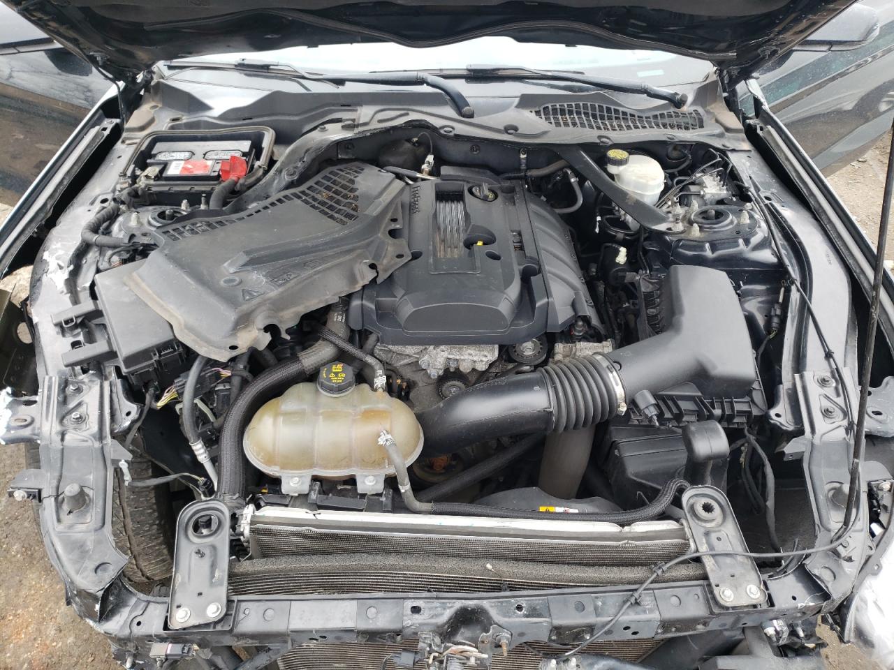 Photo 7 from auction – 2015 FORD MUSTANG with VIN 1FATP8UH7F5364134