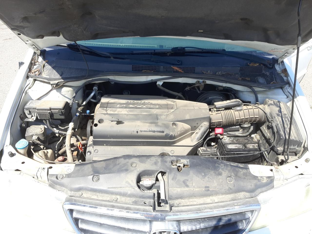 Photo 7 from auction – 2003 HONDA ODYSSEY EX with VIN 5FNRL18623B117680