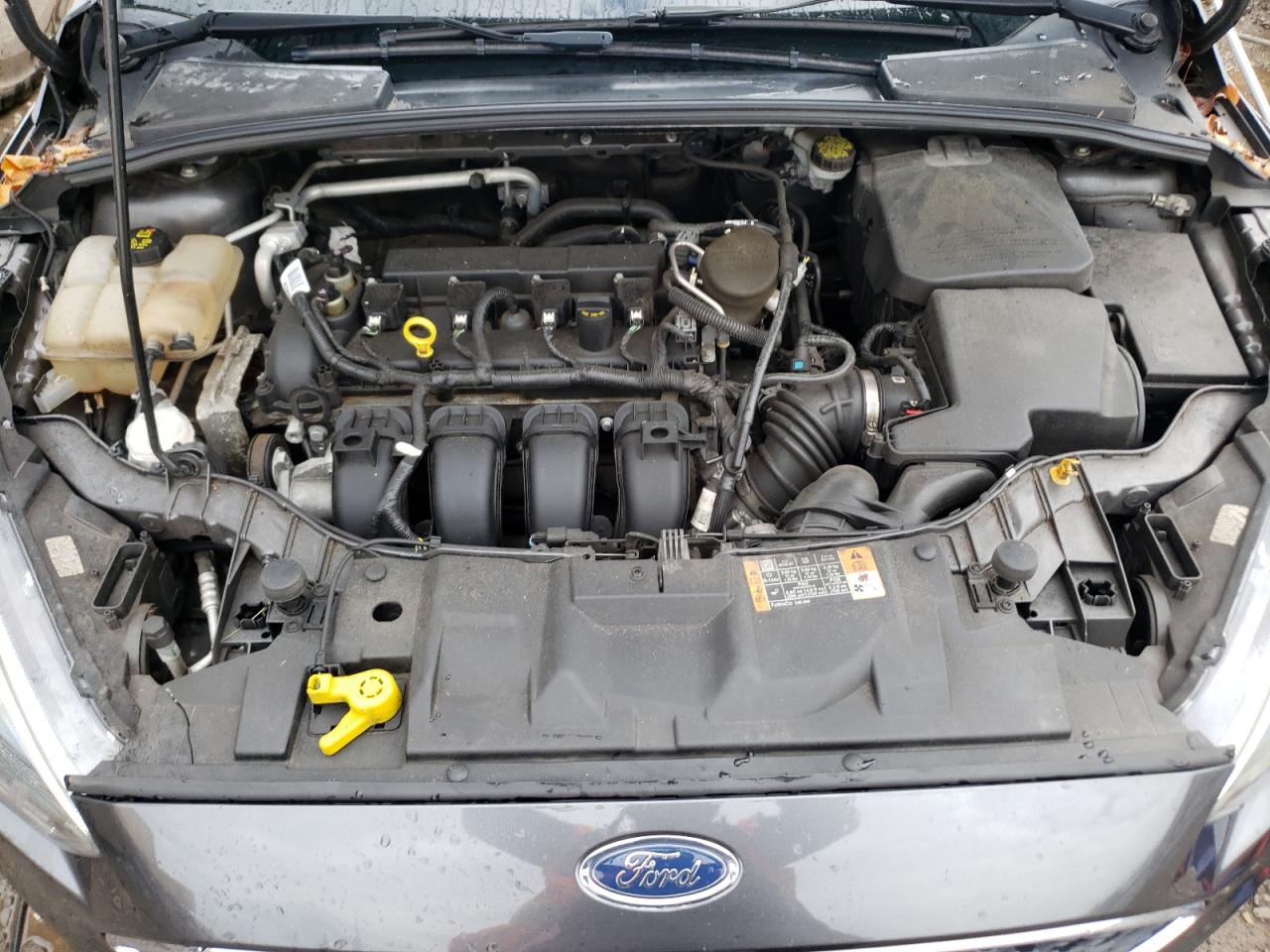 Photo 7 from auction – 2016 FORD FOCUS SE with VIN 1FADP3K24GL226795