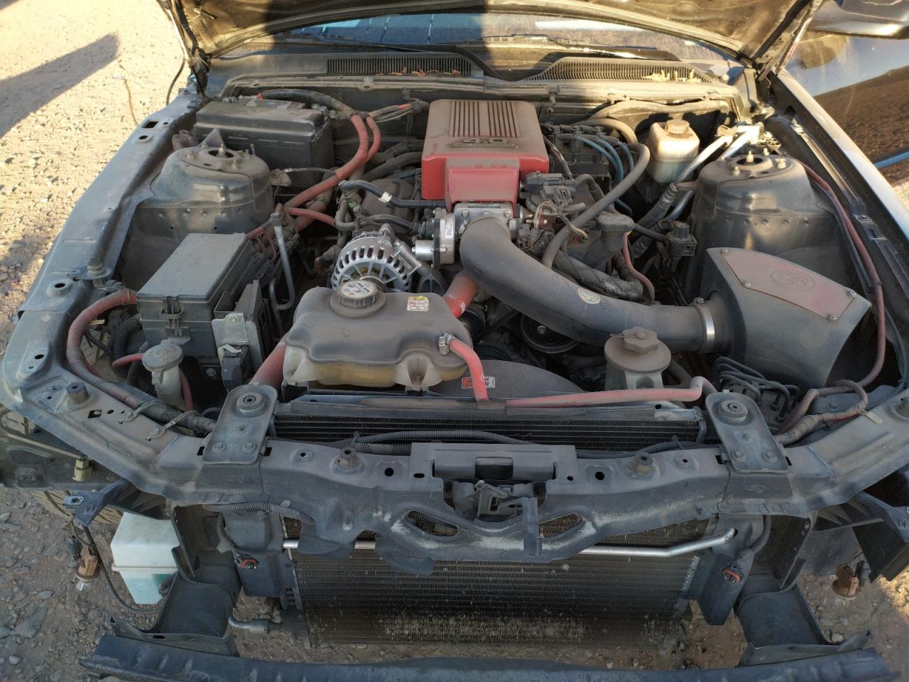 Photo 7 from auction – 2007 FORD MUSTANG with VIN 1ZVFT80N075248576