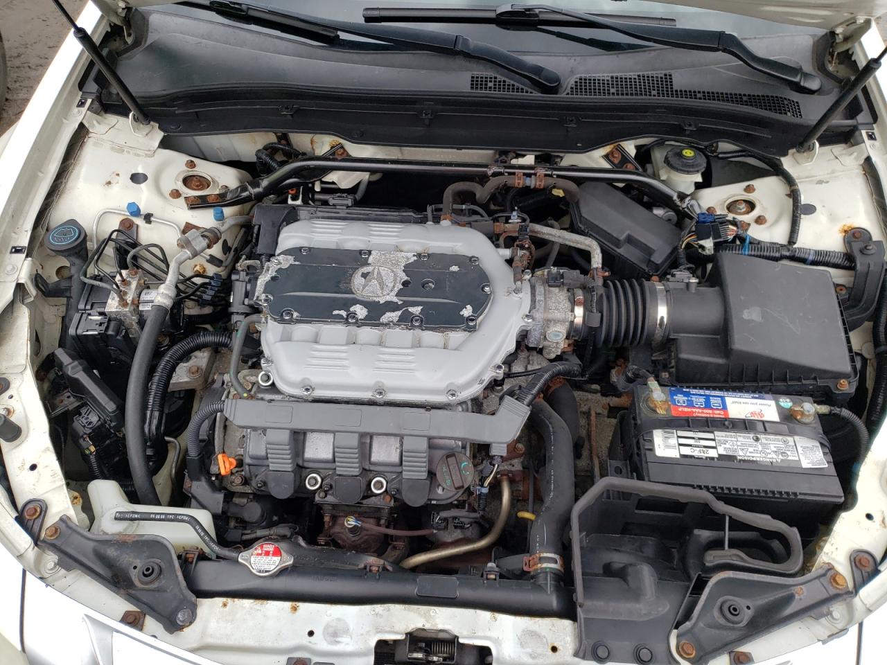 Photo 7 from auction – 2009 ACURA TL with VIN 19UUA86239A021214