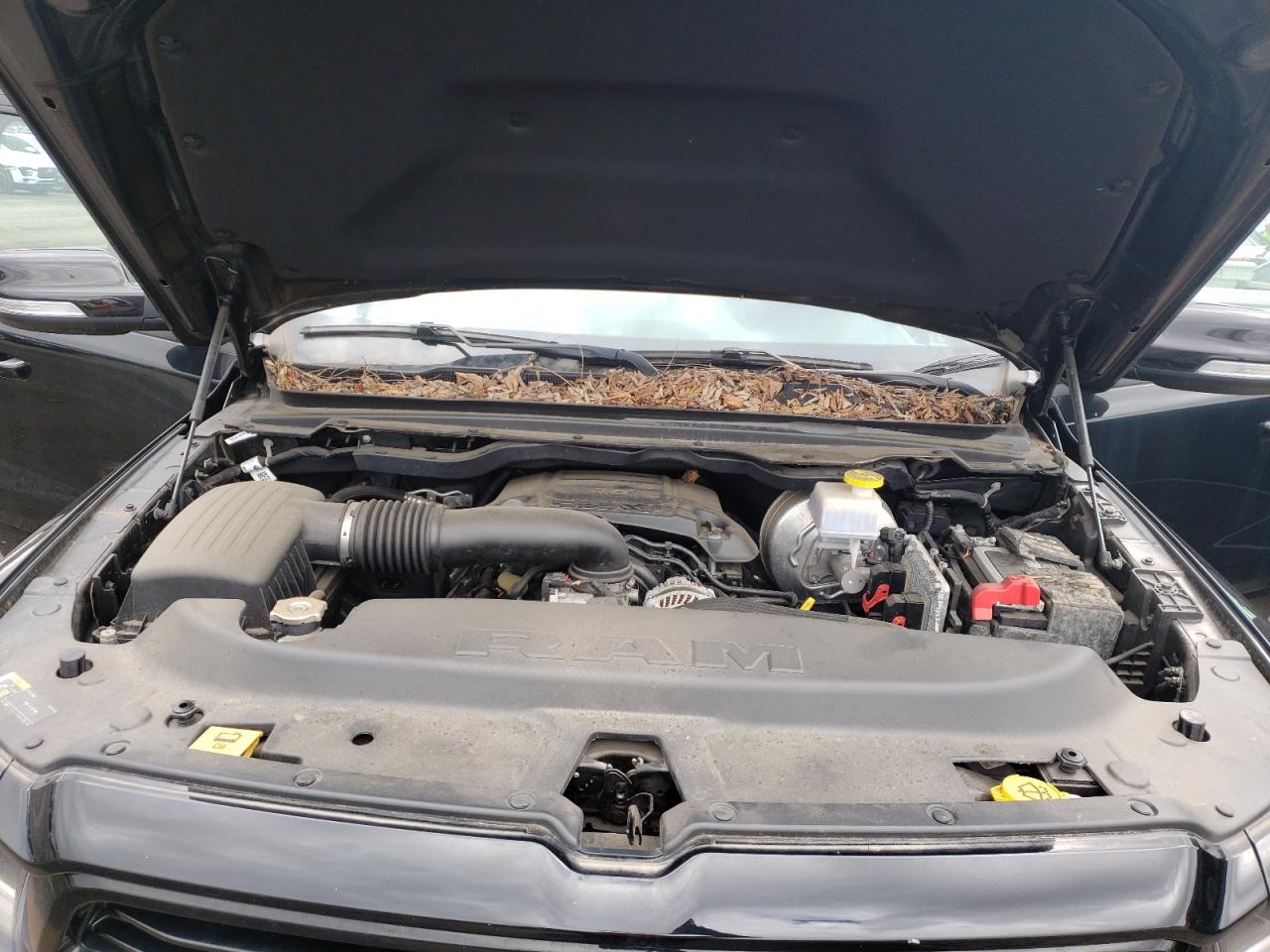 Photo 7 from auction – 2019 RAM 1500 BIG H with VIN 1C6SRFFT9KN564505