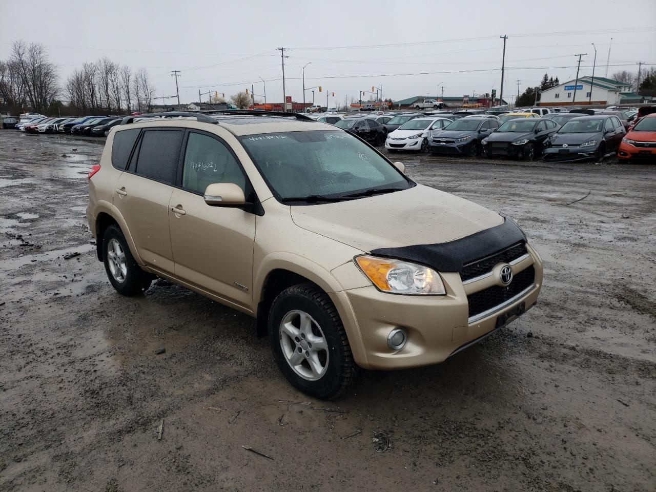 Photo 1 from auction – 2009 TOYOTA RAV4 LIMIT with VIN 2T3BF31V39W001798