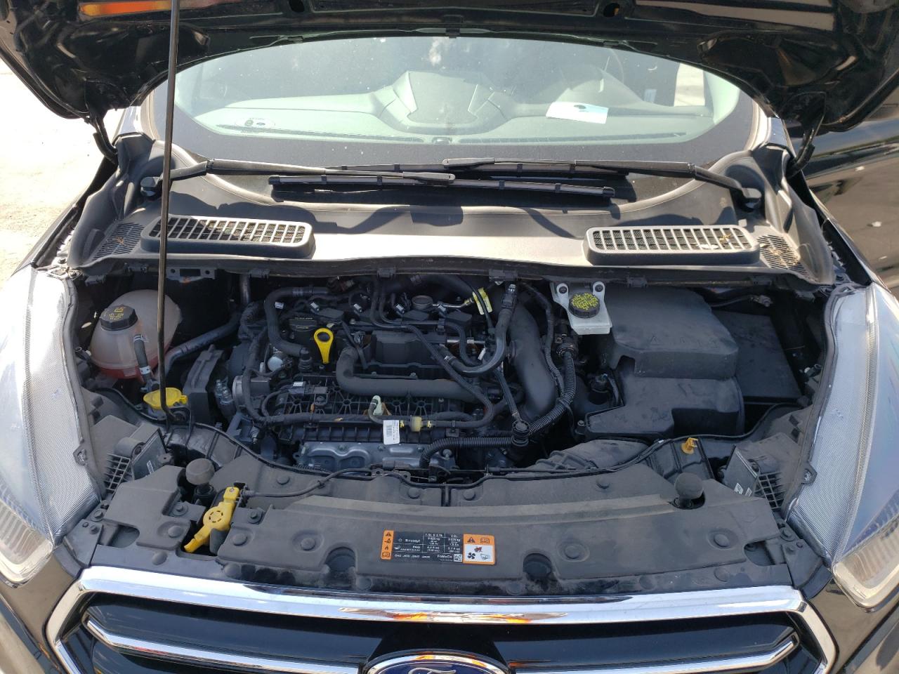 Photo 12 from auction – 2019 FORD ESCAPE SE with VIN 1FMCU0GD3KUC20301