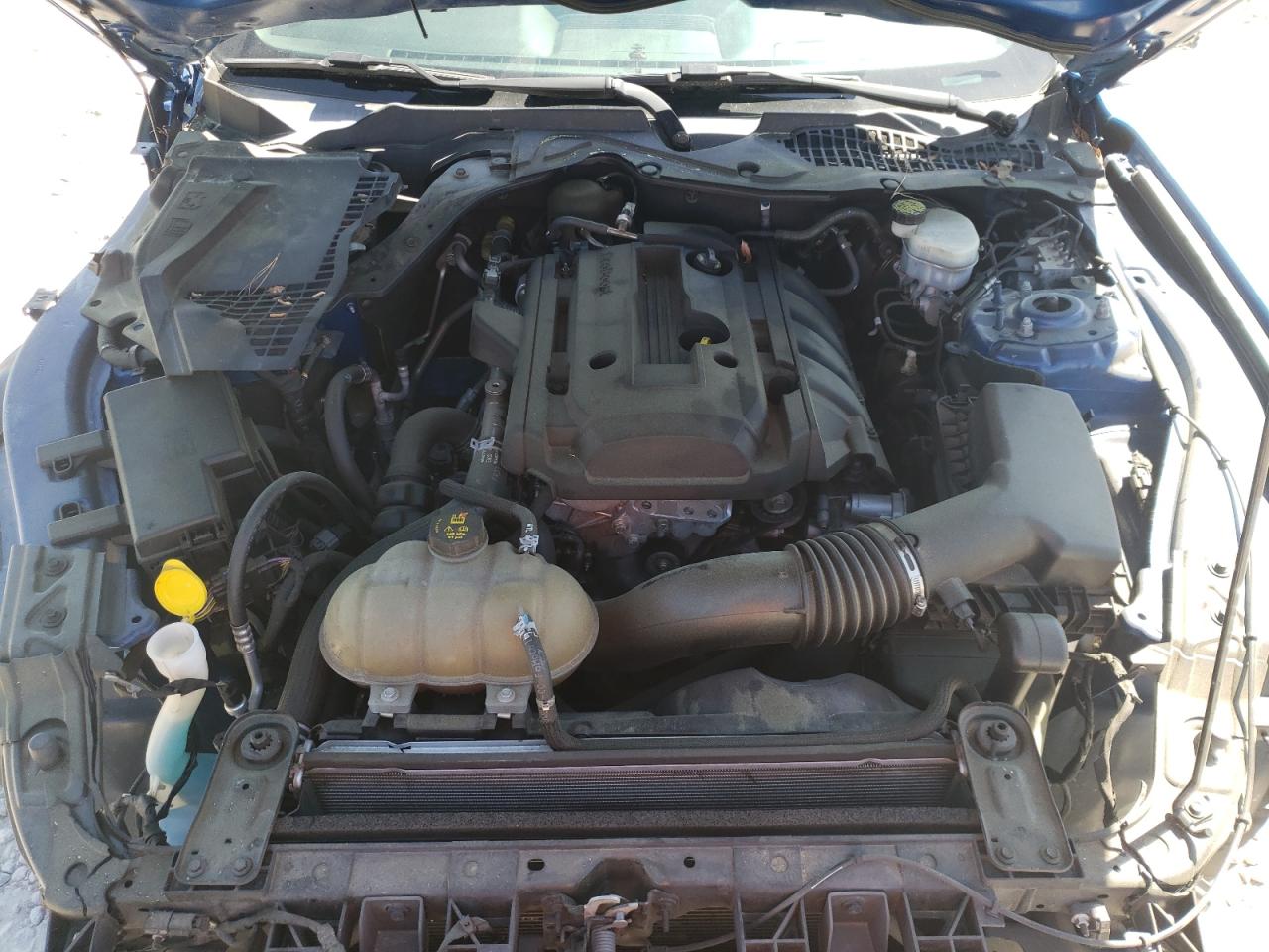 Photo 7 from auction – 2017 FORD MUSTANG with VIN 1FA6P8TH5H5202990