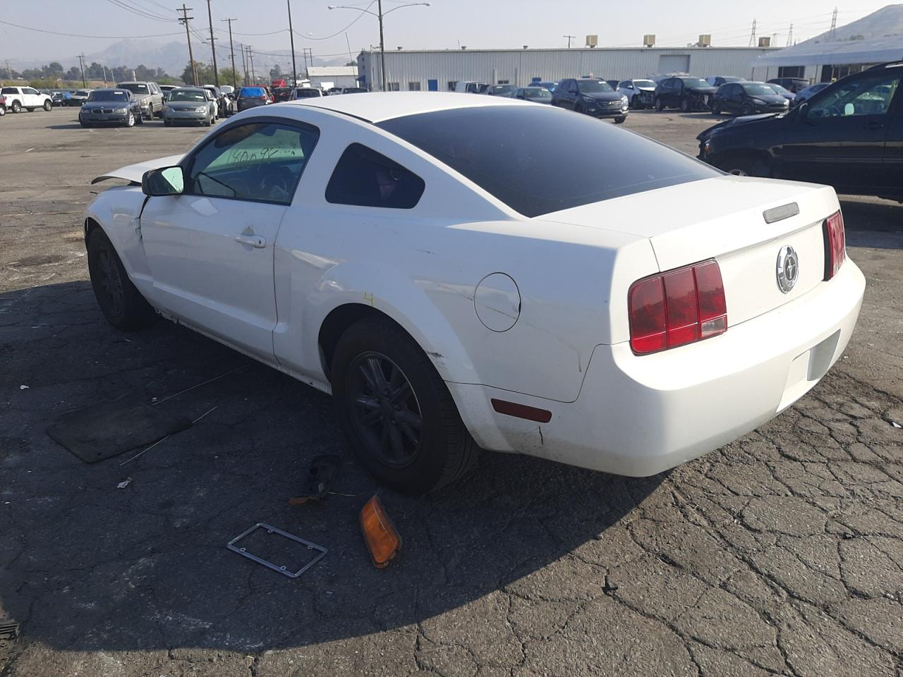 Photo 3 from auction – 2005 FORD MUSTANG with VIN 1ZVFT80N255108428