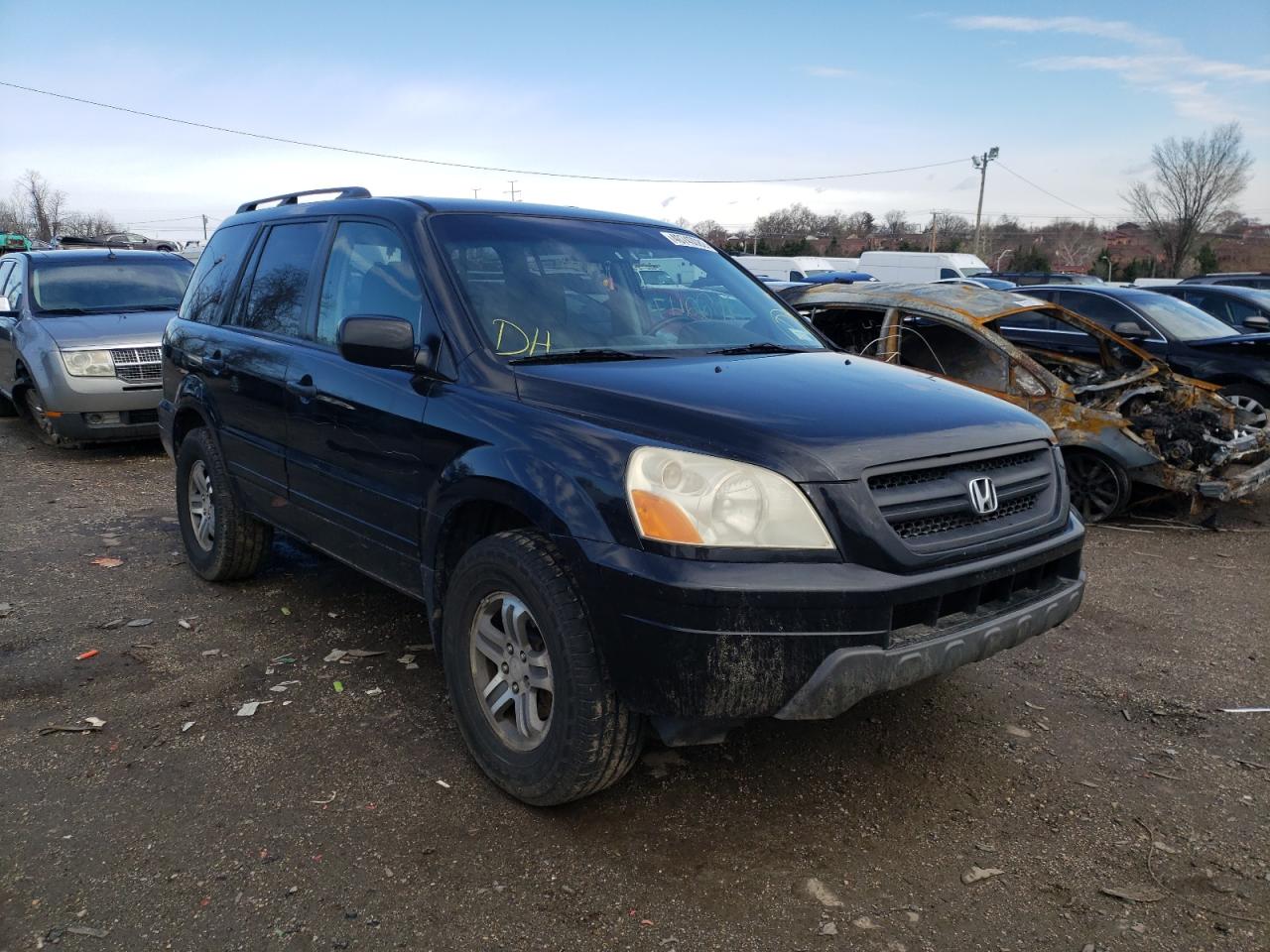 HONDA PILOT EXL 2004 with VIN 2HKYF18614H578455 - Photo from auction