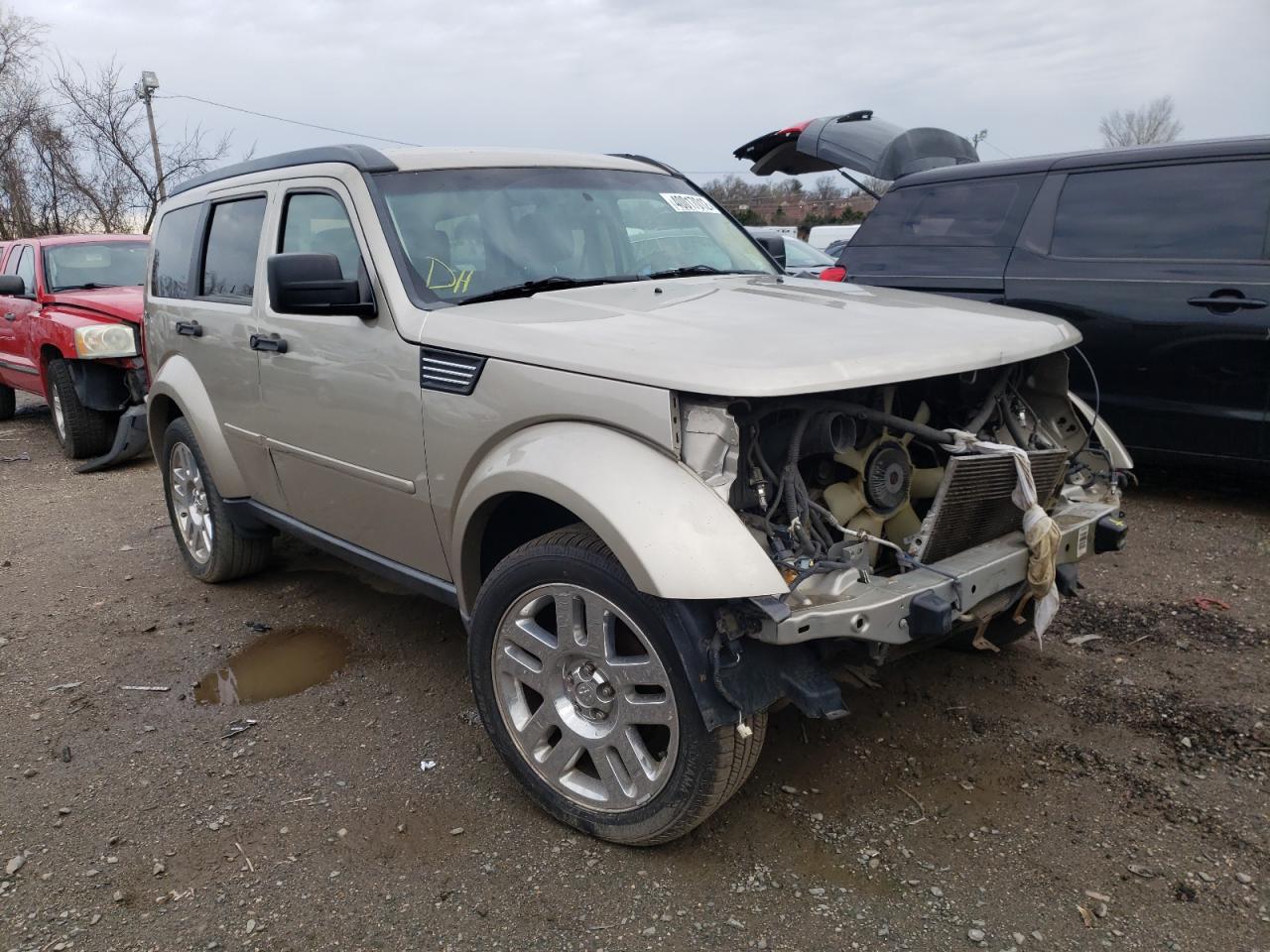 DODGE NITRO SXT 2010 with VIN 1D4PU5GX3AW124199 - Photo from auction