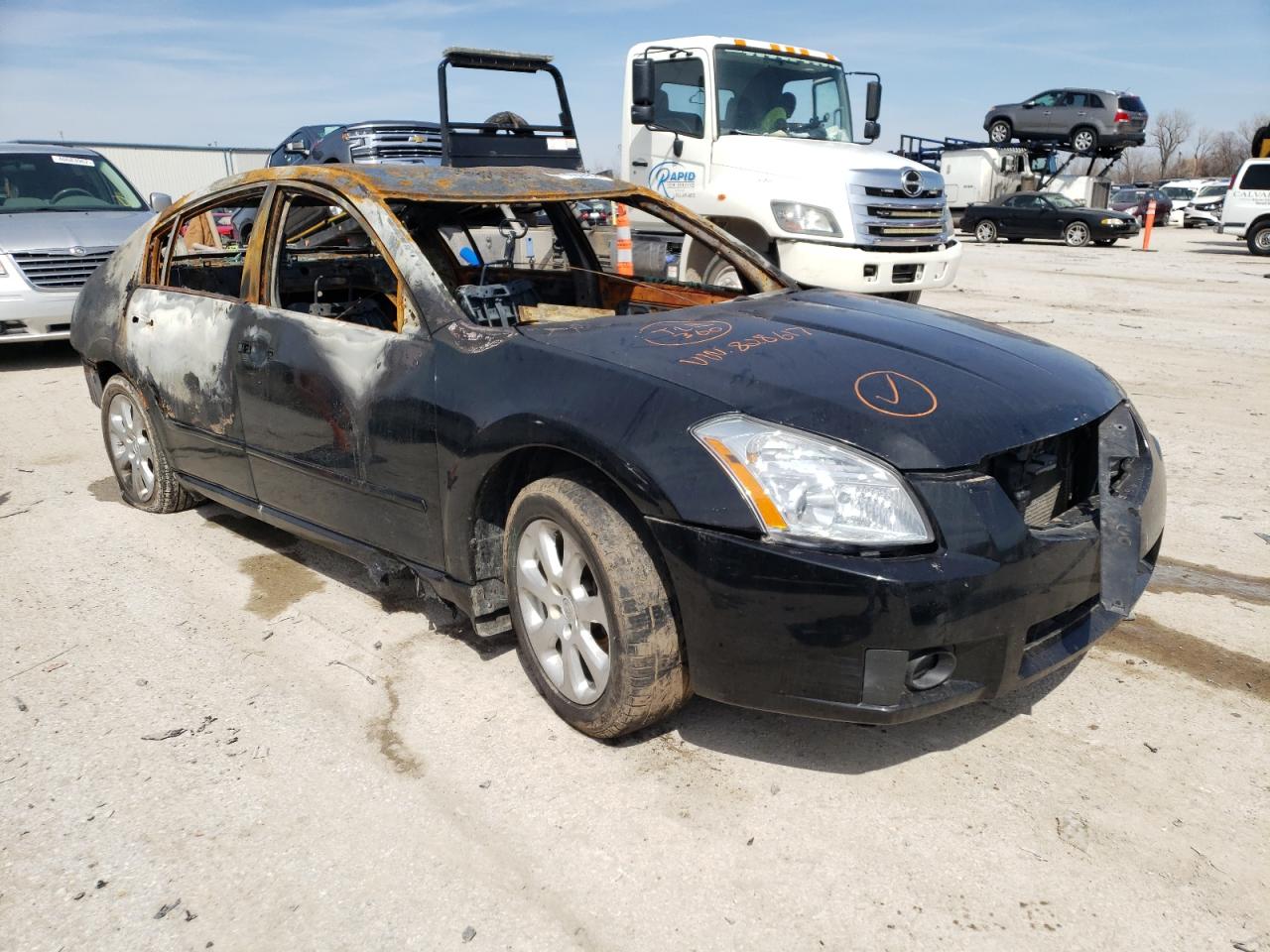 NISSAN MAXIMA SE 2007 with VIN 1N4BA41E77C828617 - Photo from auction