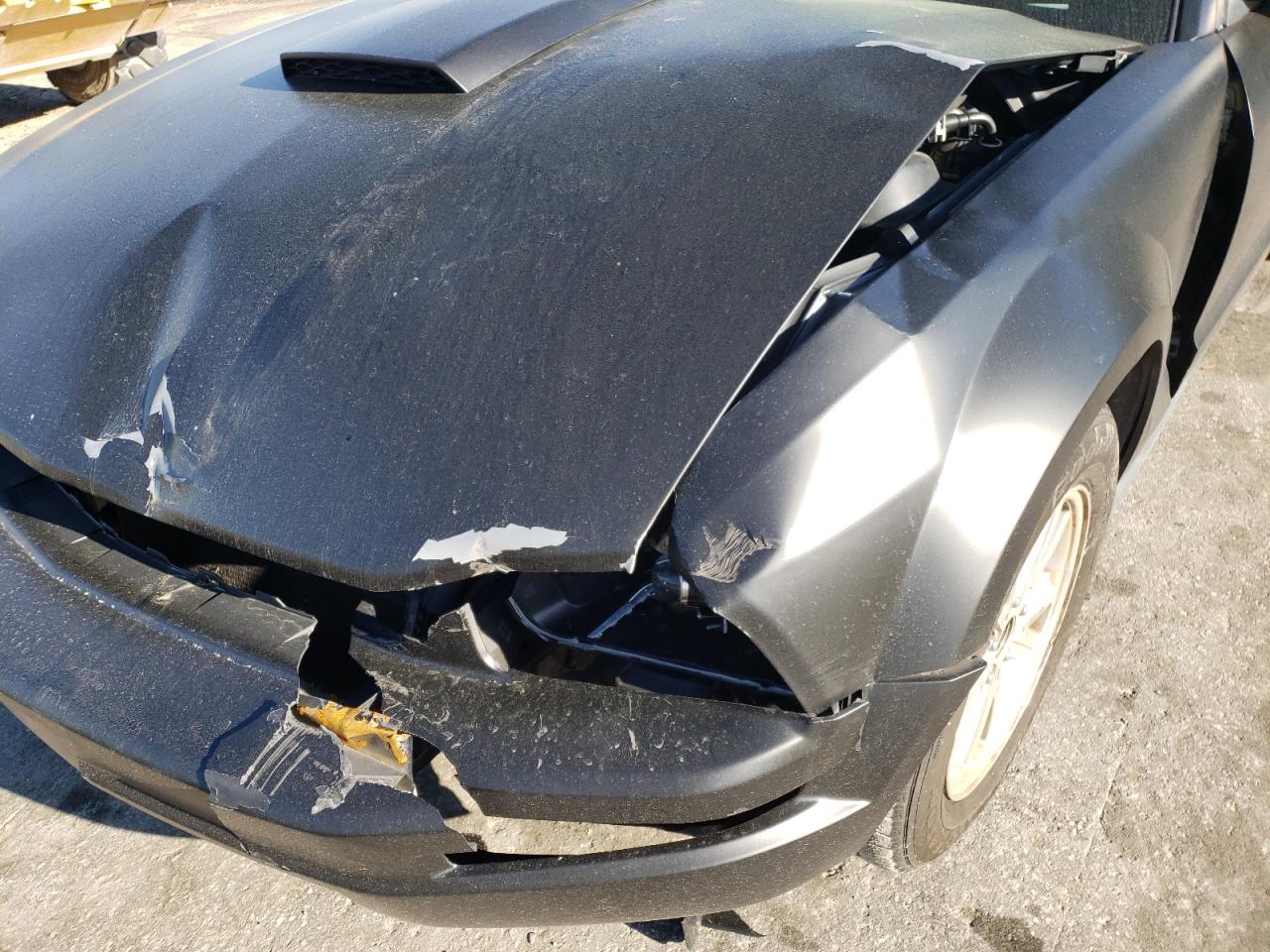 Photo 9 from auction – 2006 FORD MUSTANG with VIN 1ZVFT80N565208718