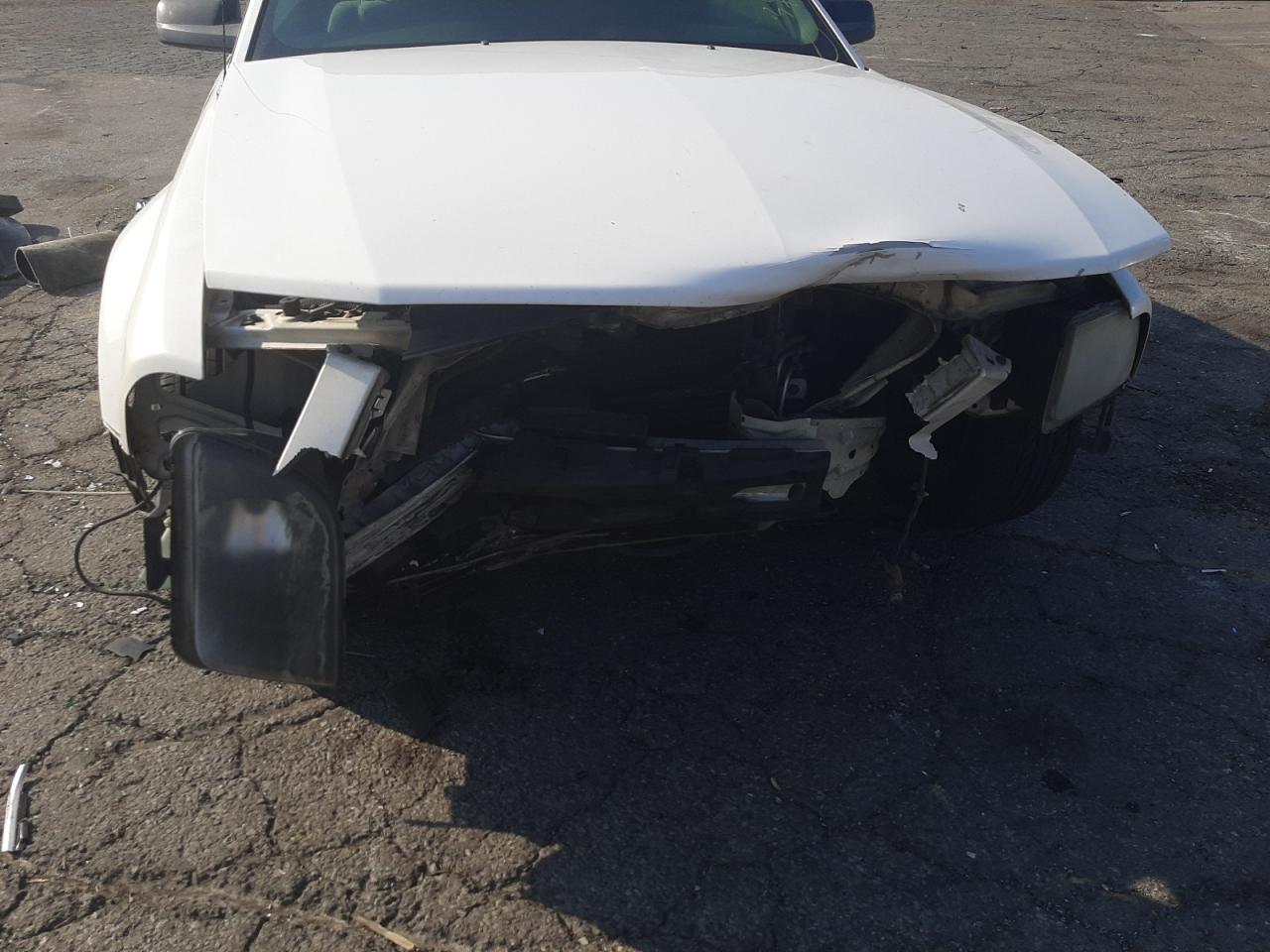 Photo 9 from auction – 2005 FORD MUSTANG with VIN 1ZVFT80N255108428